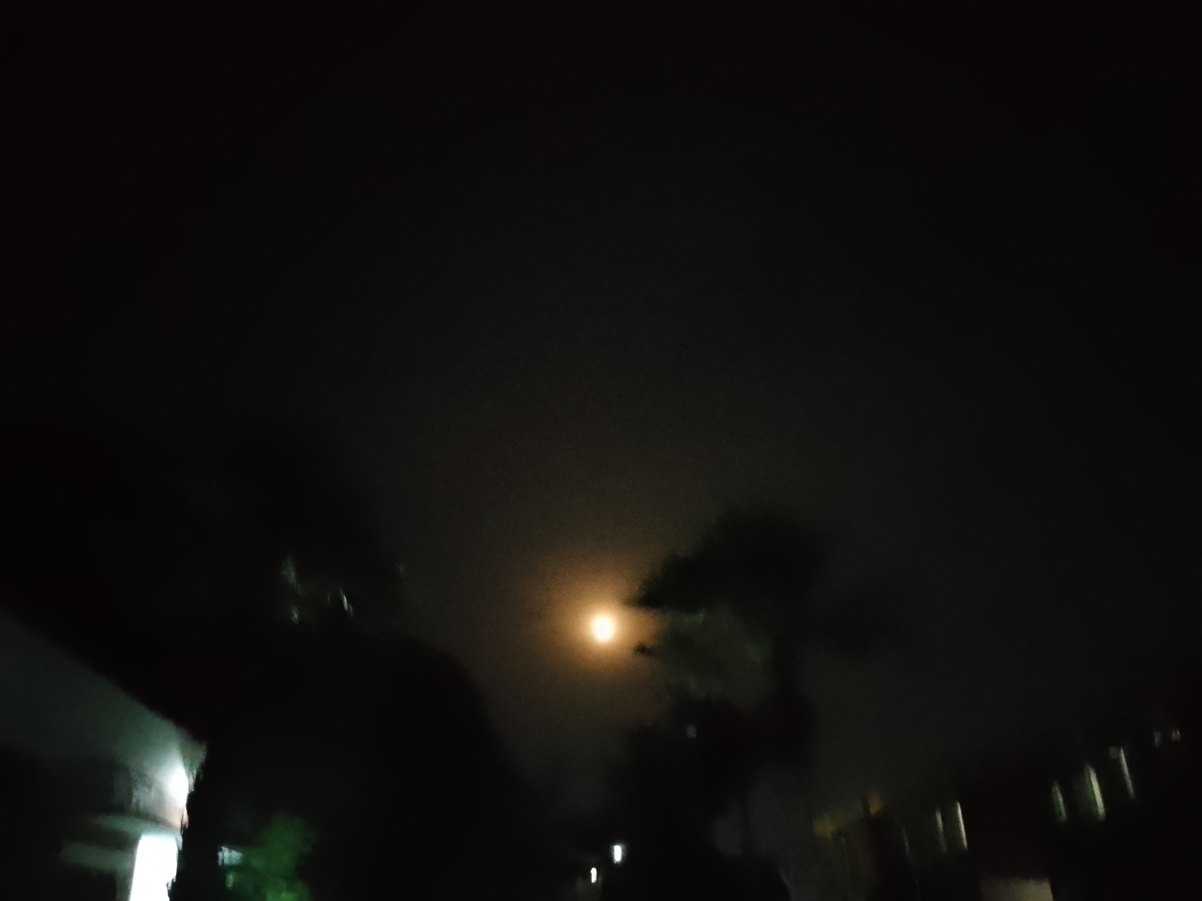 IMG_20240425_220324_912.jpg