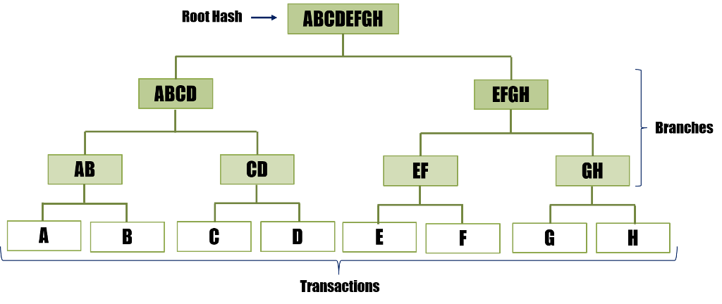 arbol merkle.png