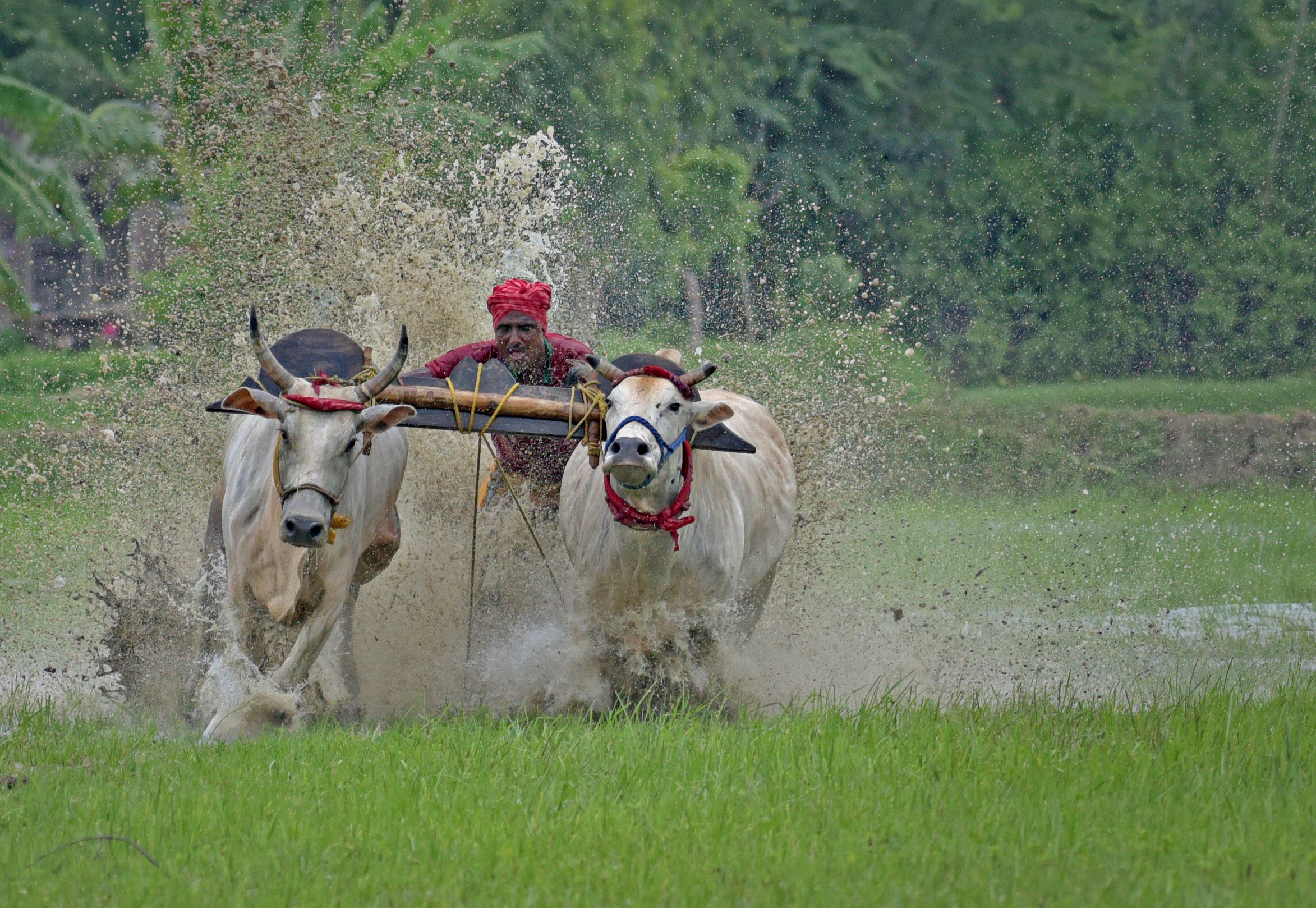 DSC_1615.jpg