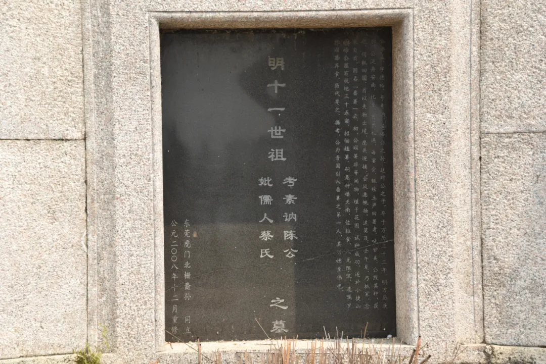 640 (14).webp