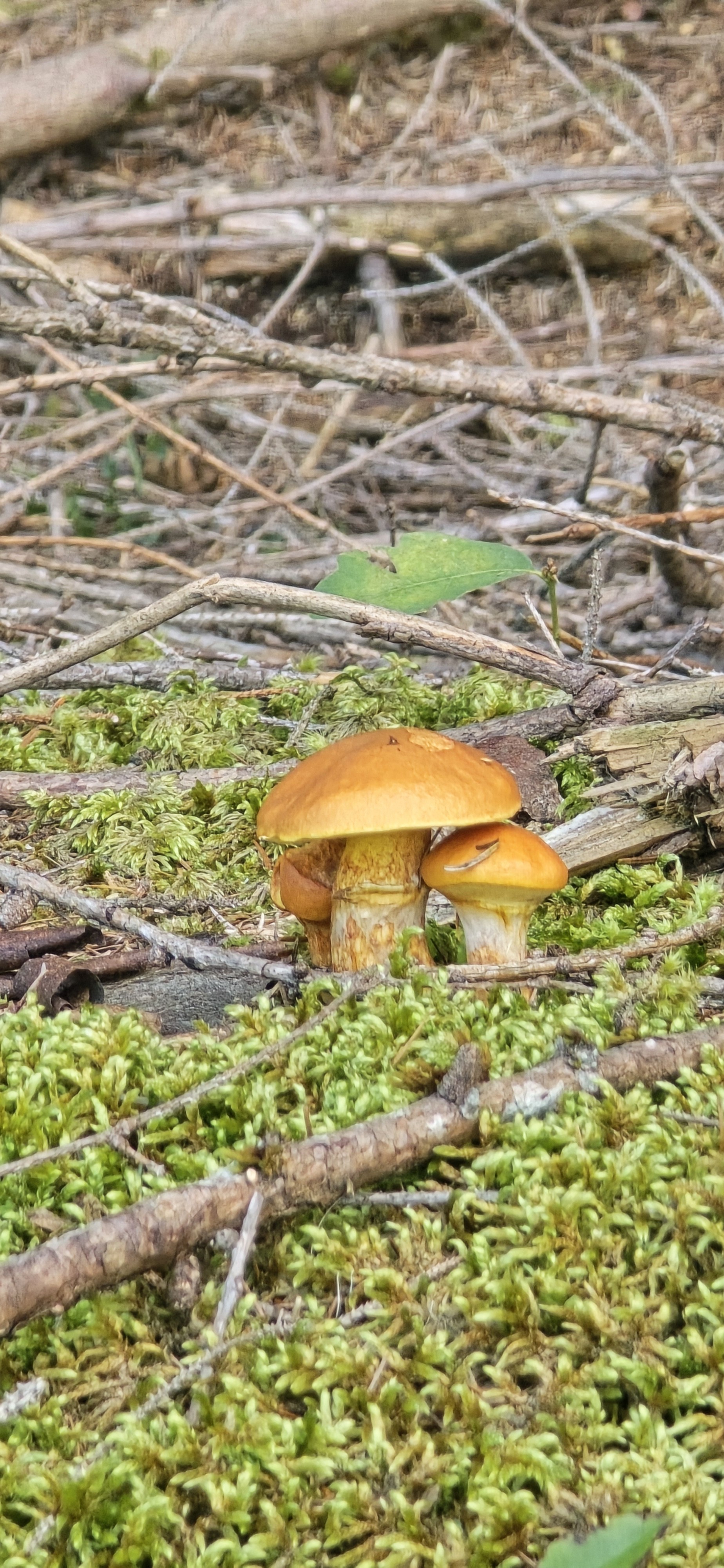 20250915_161910.jpg
