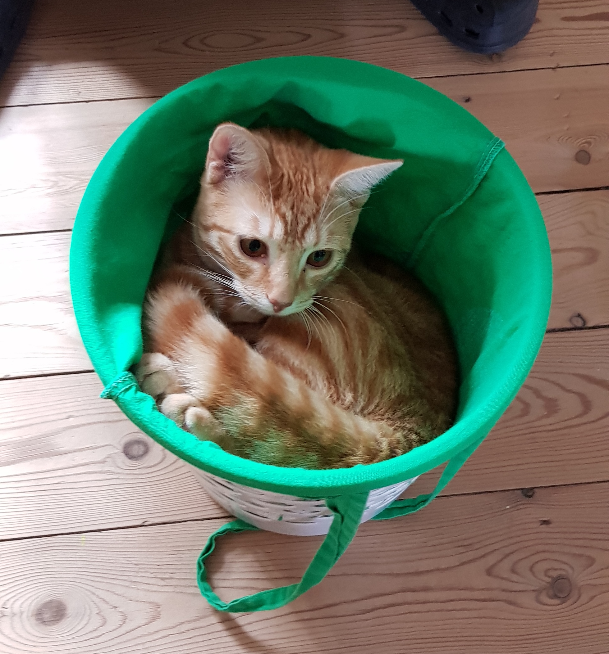 20190309_124821.jpg