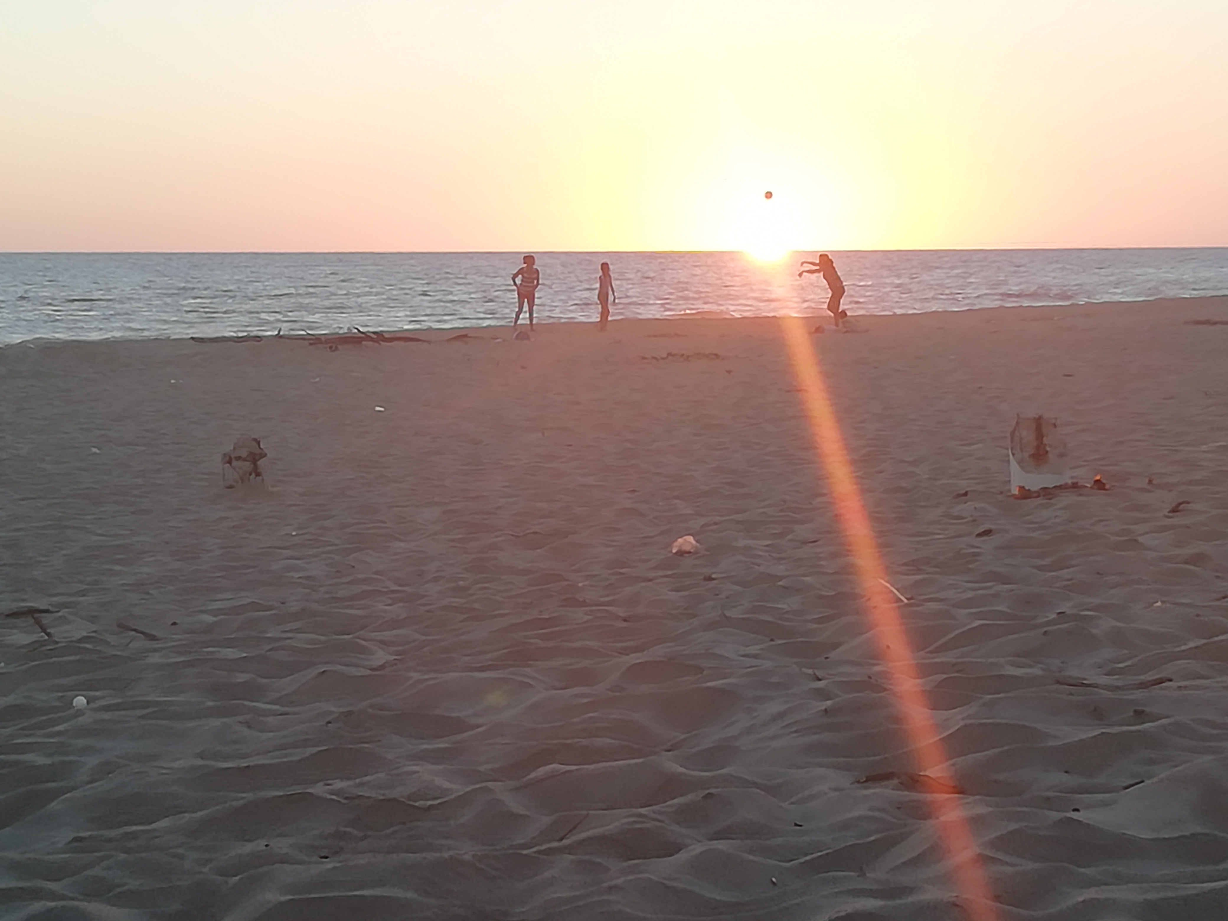 IMG_20190220_184222.jpg