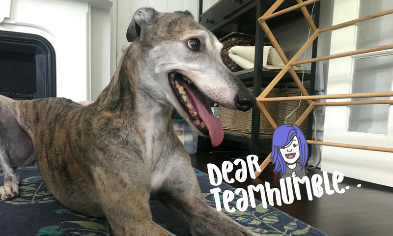 @dayleeo Steemit-Covers (6).png