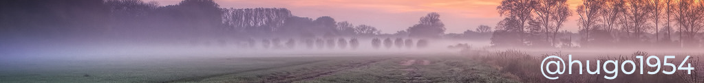 comentarios-banner-elefanti-tramonto-1023x121.png