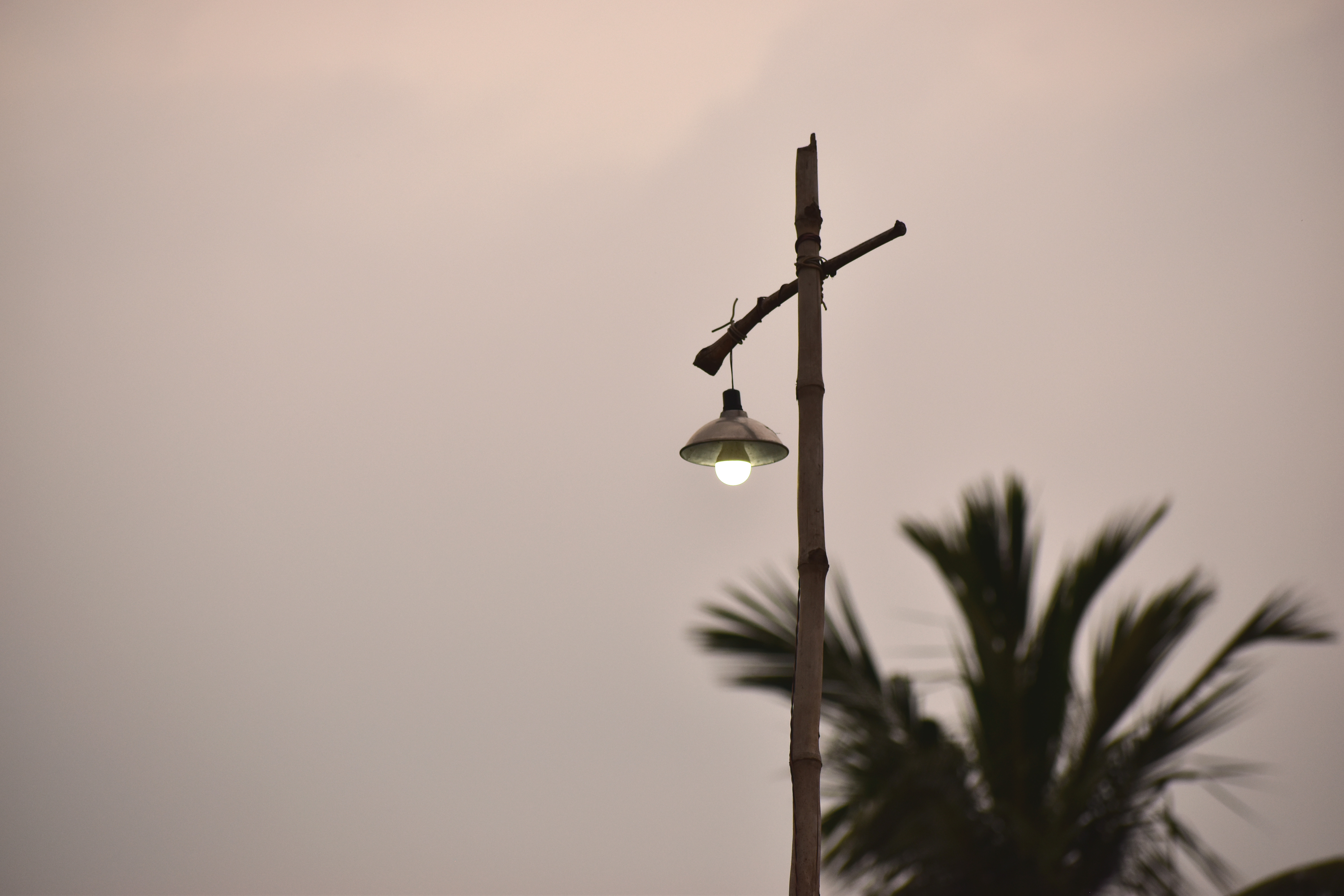 DSC_0306.JPG