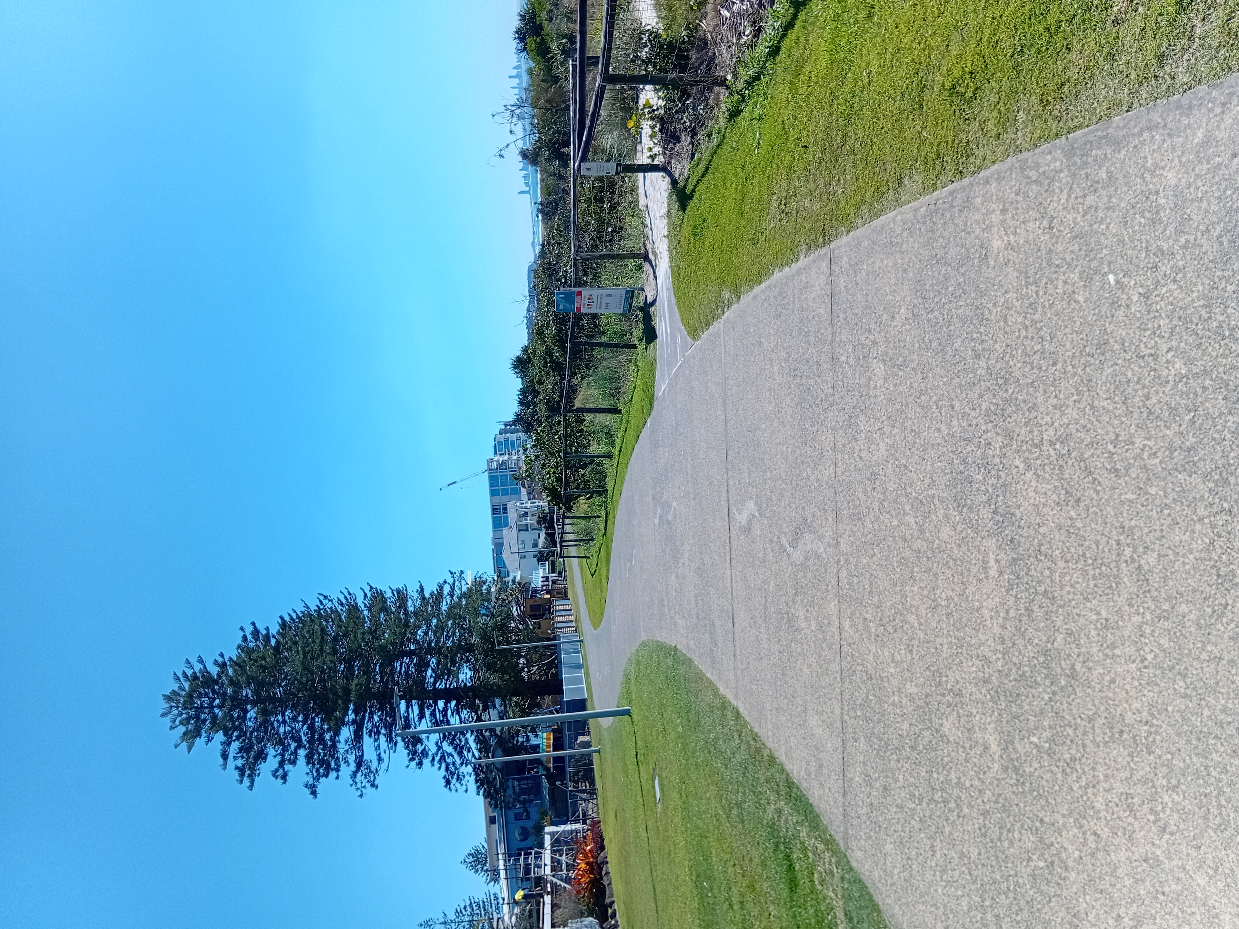 20260811_115434.jpg