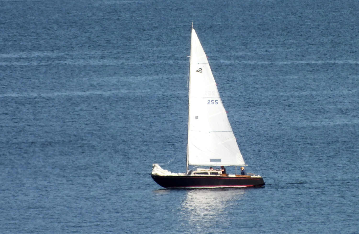 1015-Sailboat.jpg