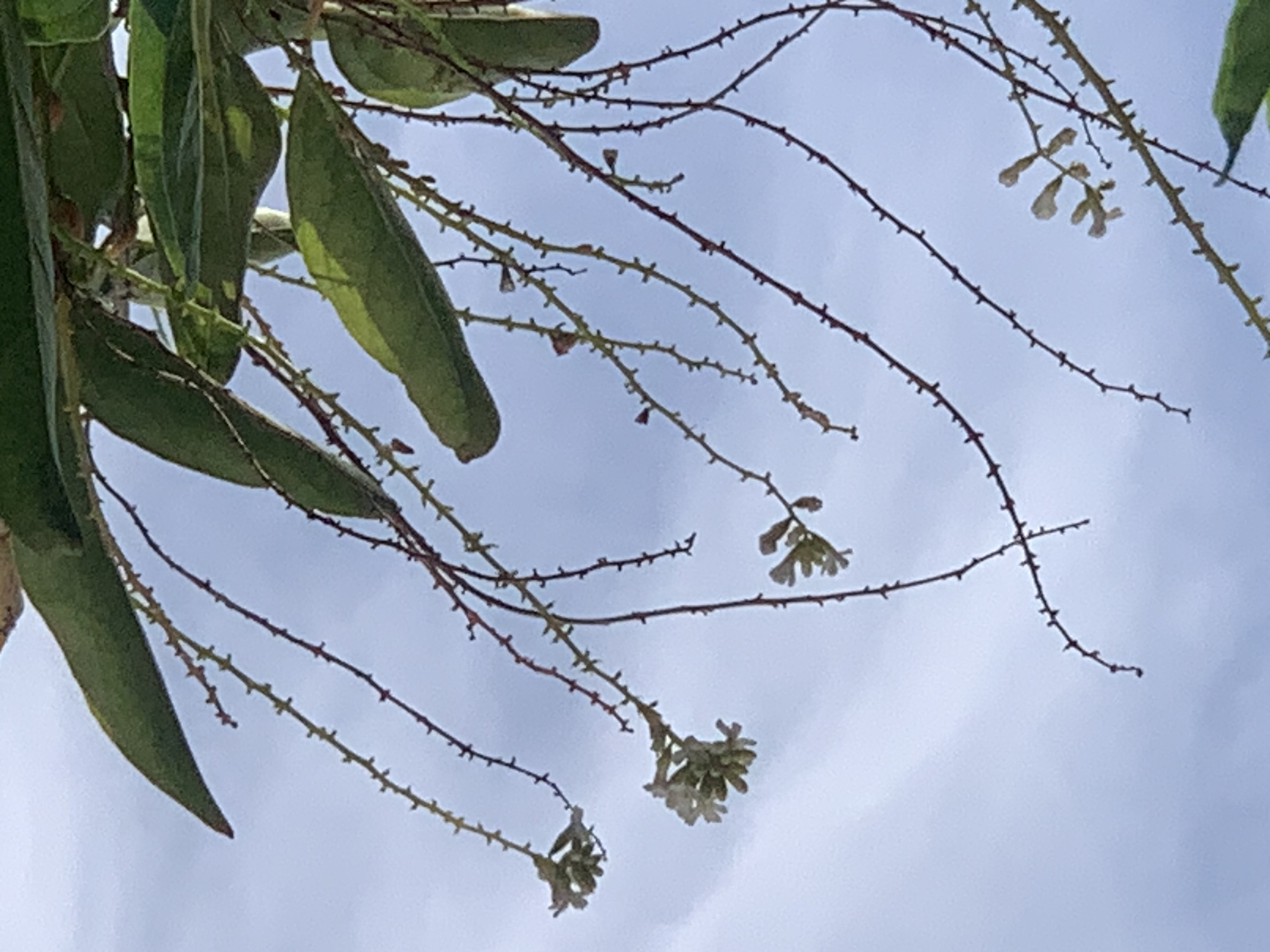 nature806.jpg