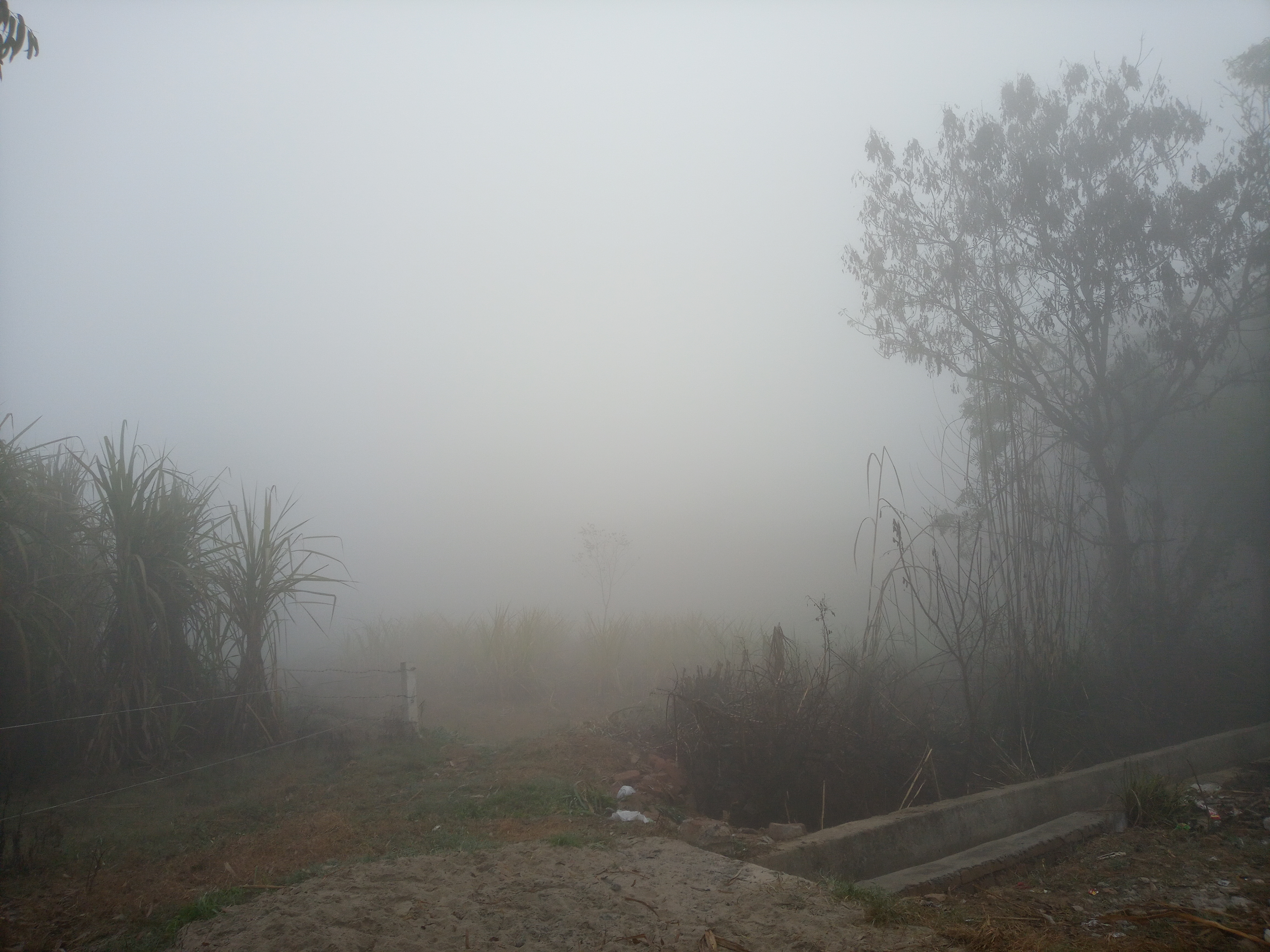 20210114_082057.jpg