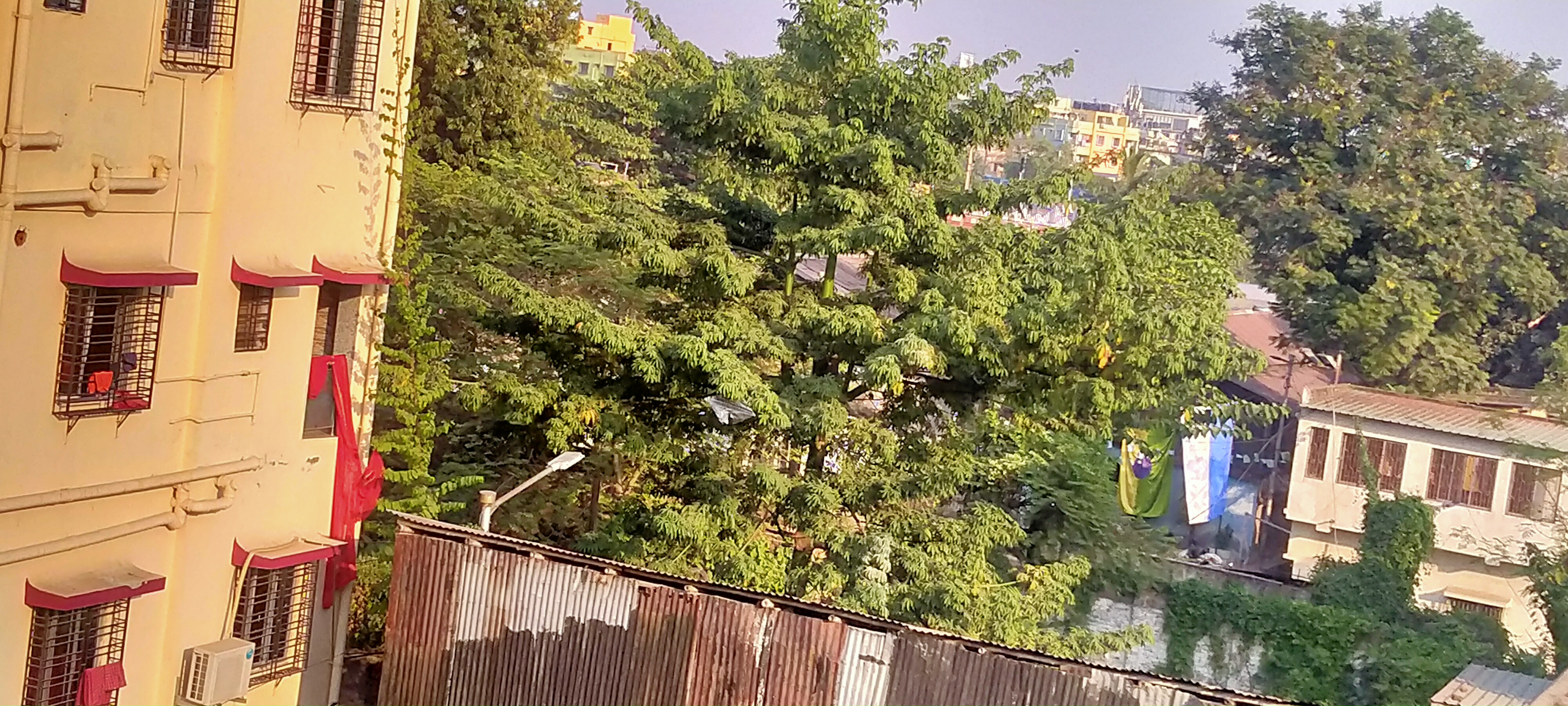 IMG20221201150954.jpg