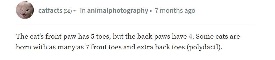 Ode to Nov 2 REDUX 2018 Little Kitty Toes1.PNG