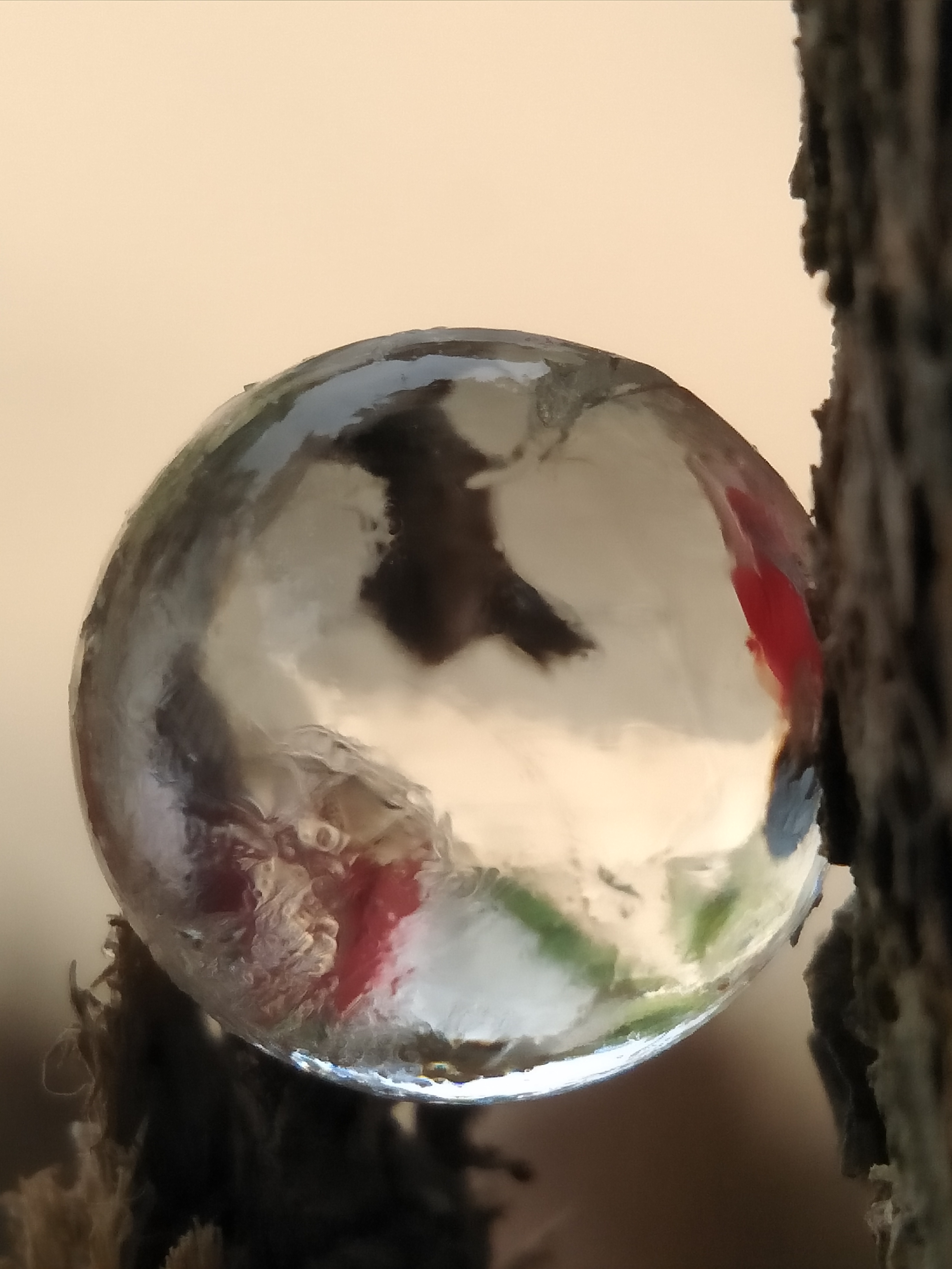 IMG20180920115413.jpg
