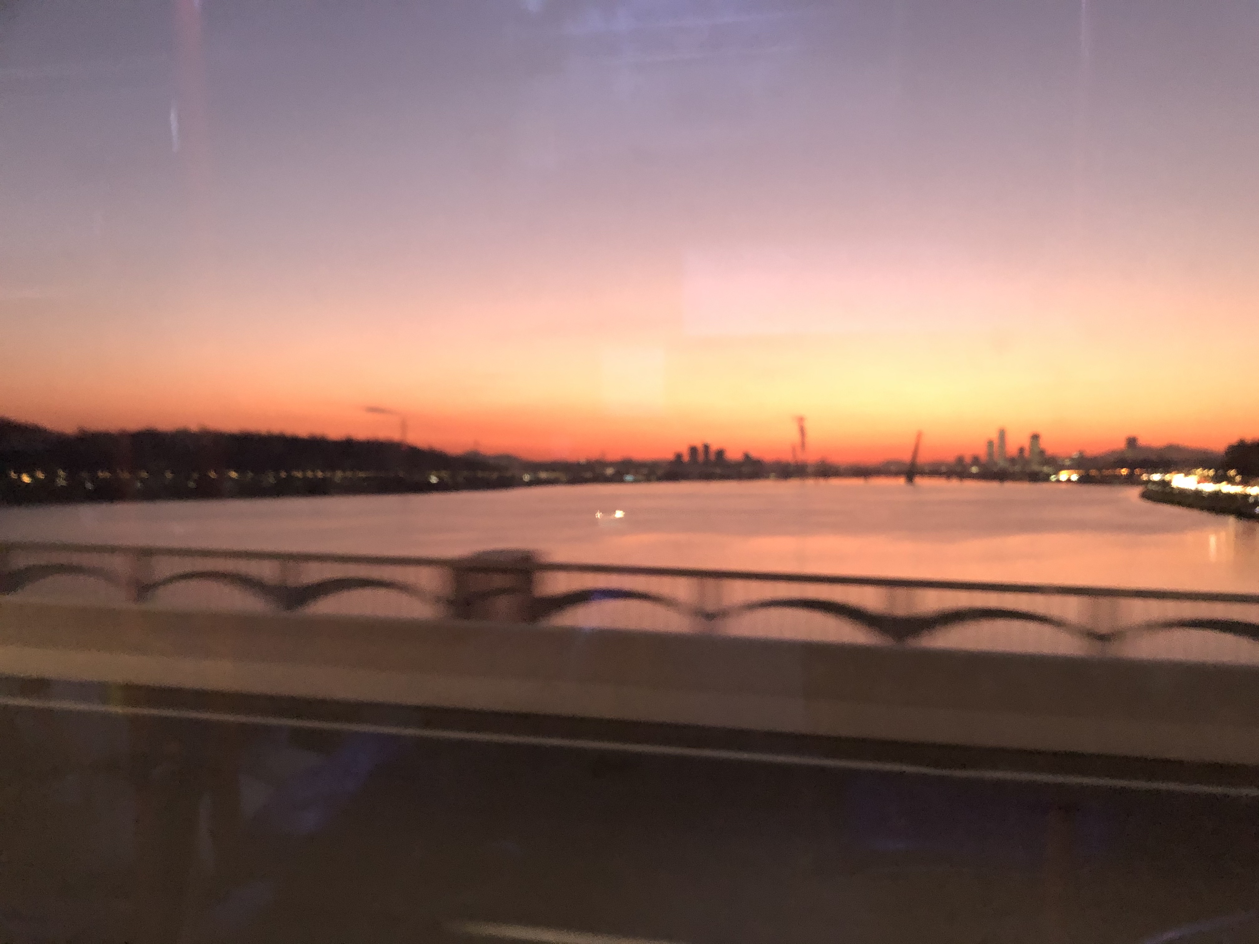 IMG_9793.jpeg
