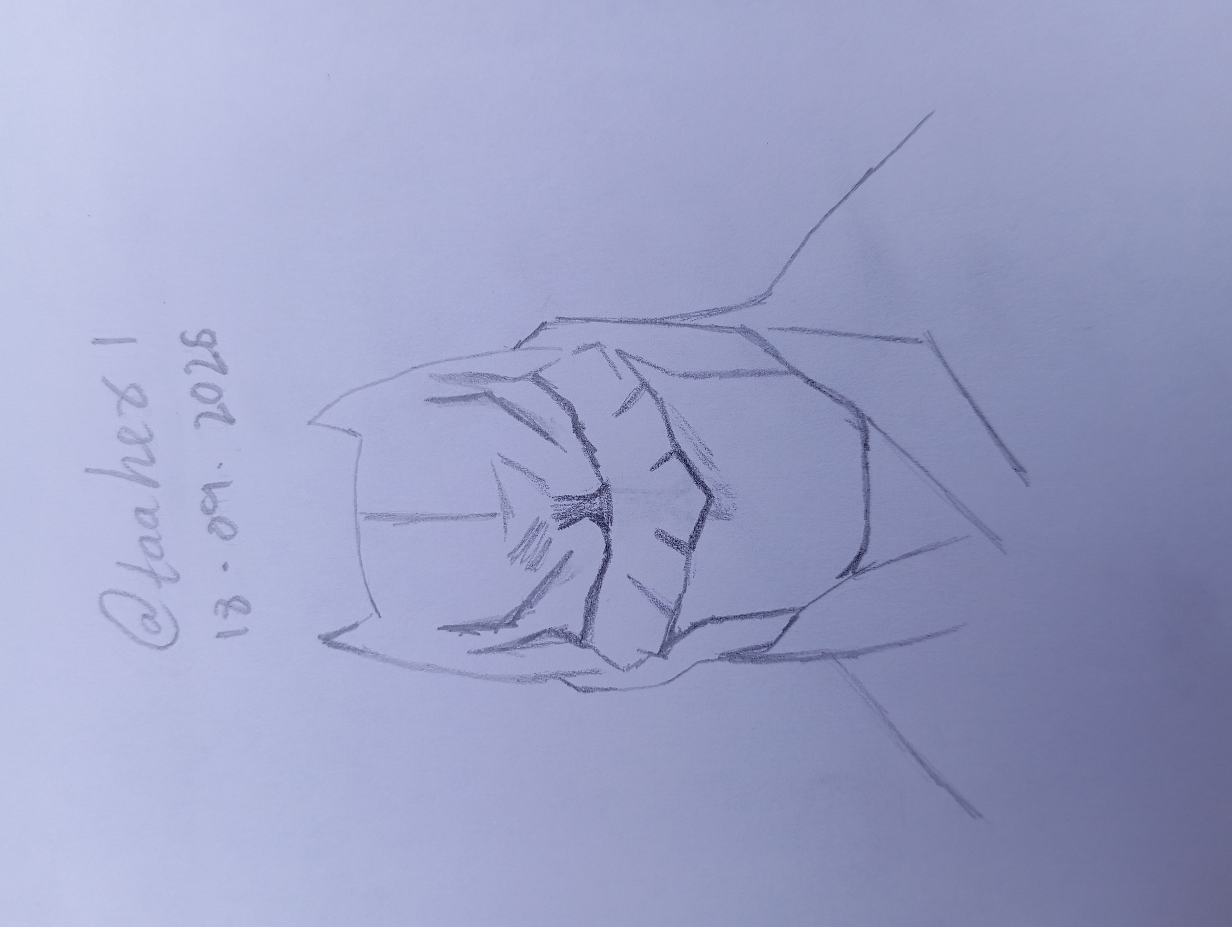 1000228270.jpg