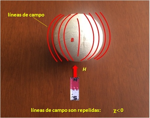 Fig1.jpg