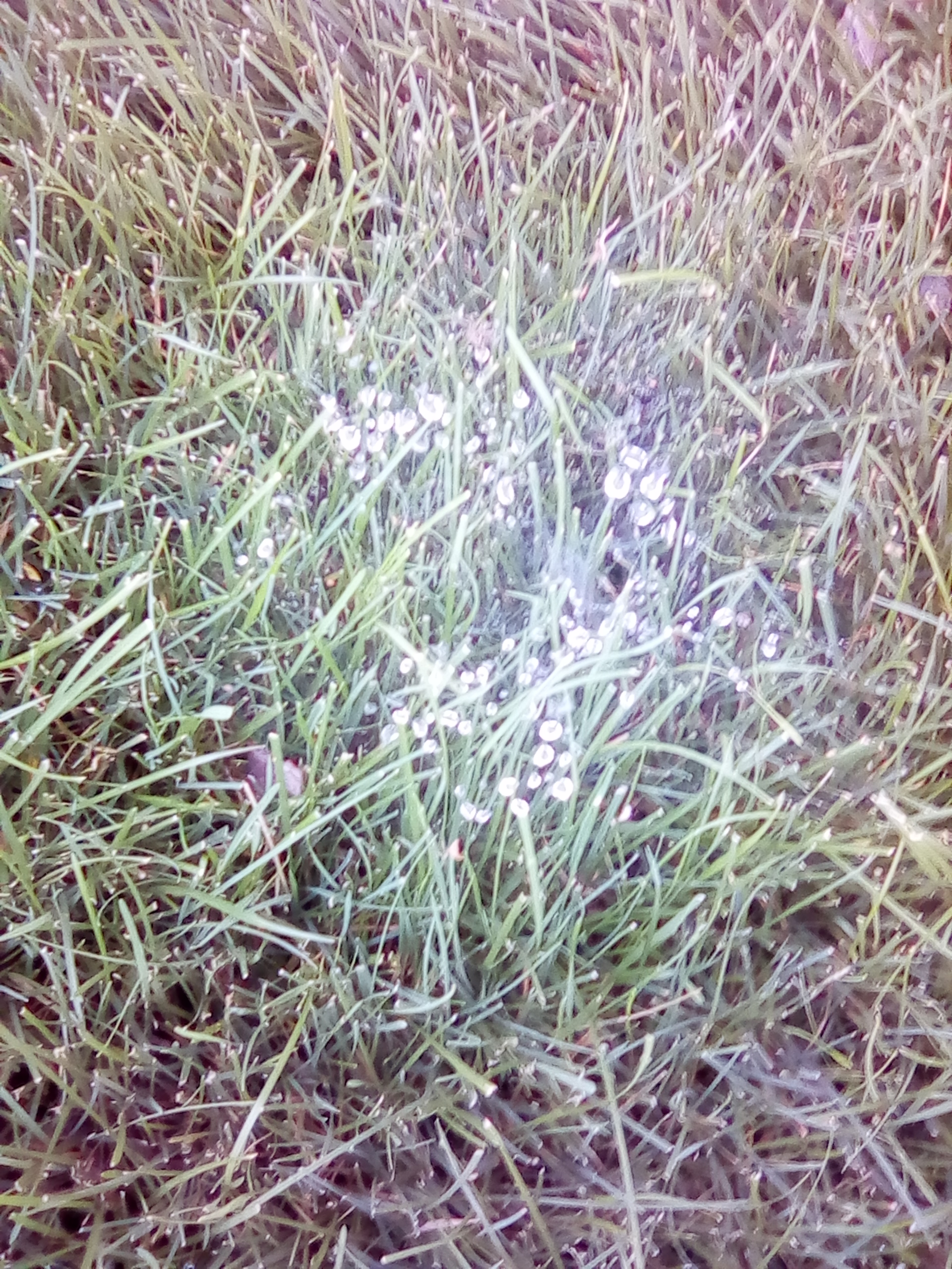 IMG_20180710_113835.jpg
