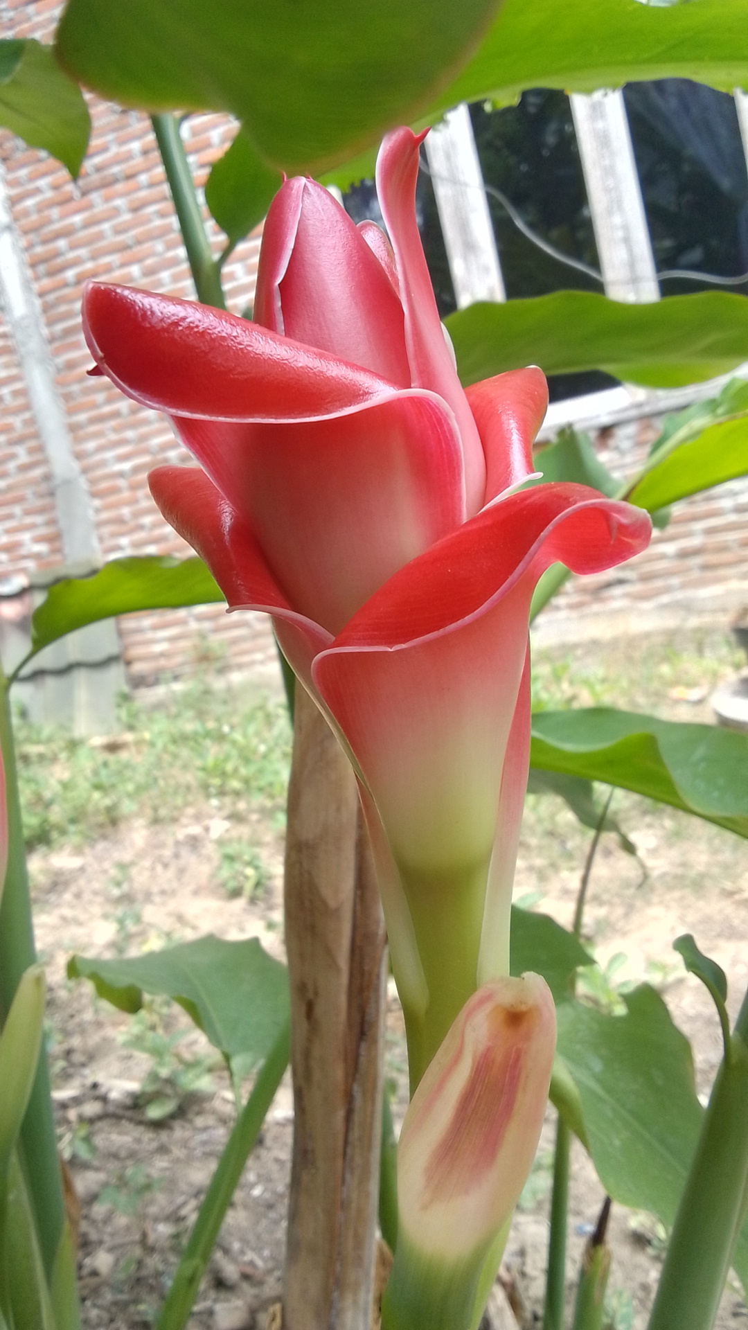 IMG_20240414_113532_HDR.jpg