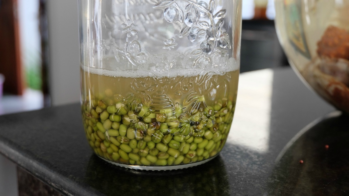 mung-bean-sprouts-2.jpg