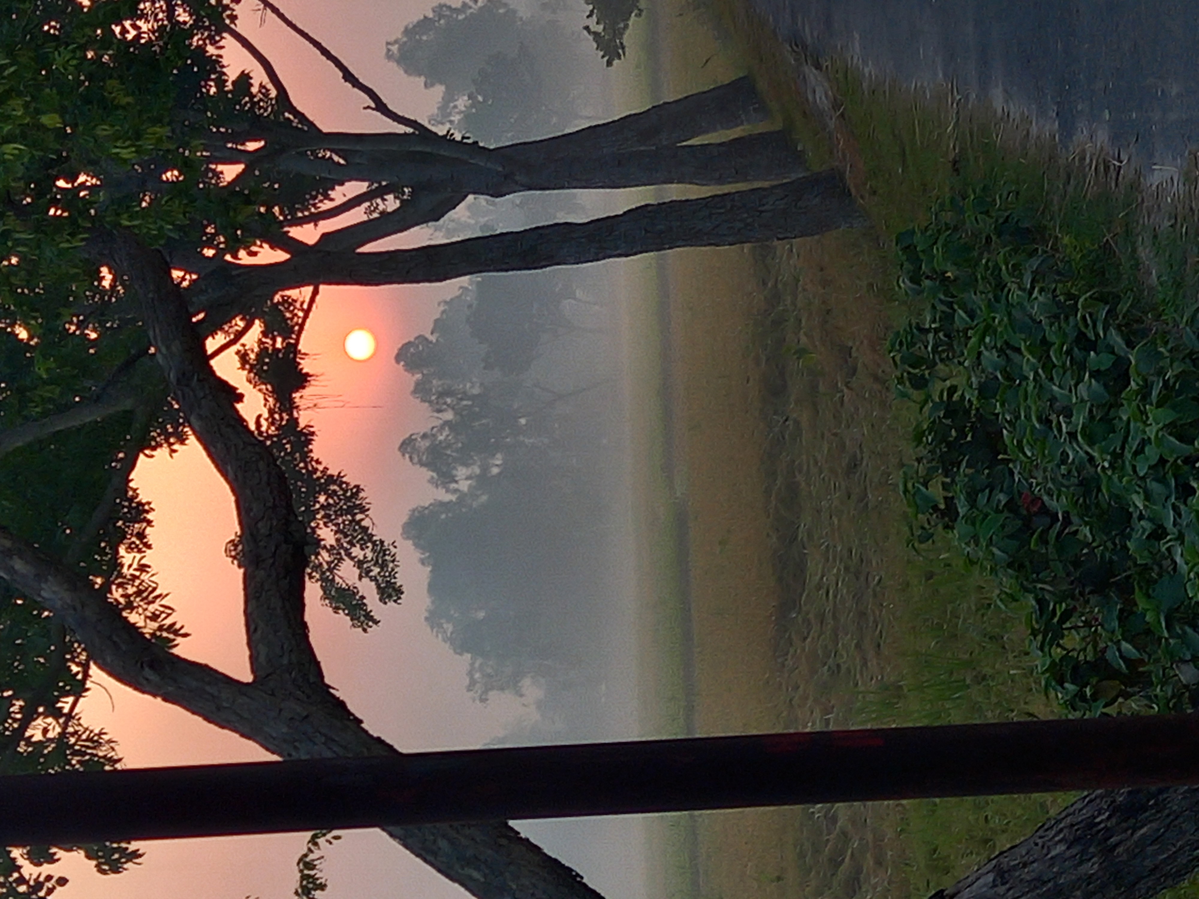 20230508_054623.jpg