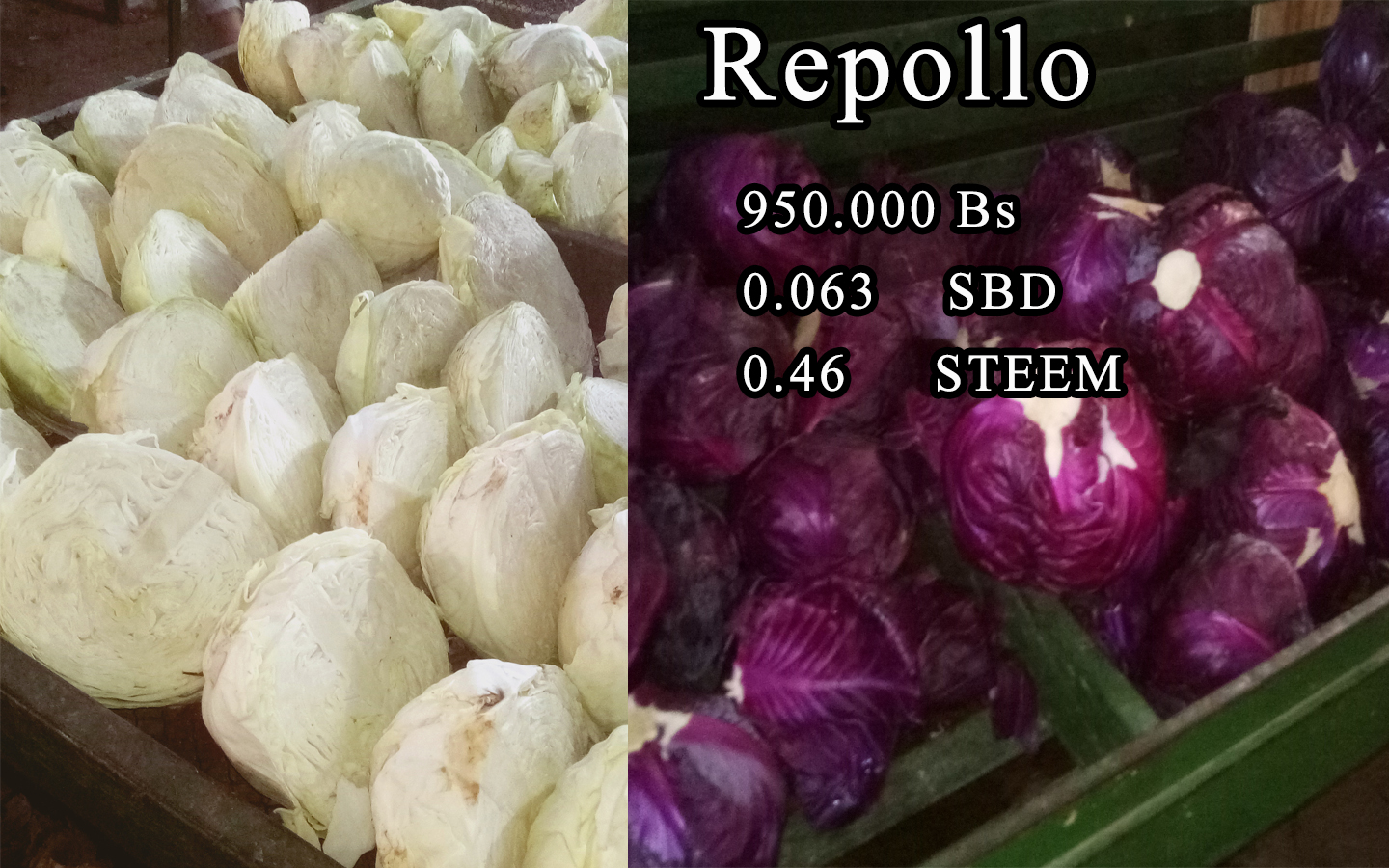 repollo.jpg