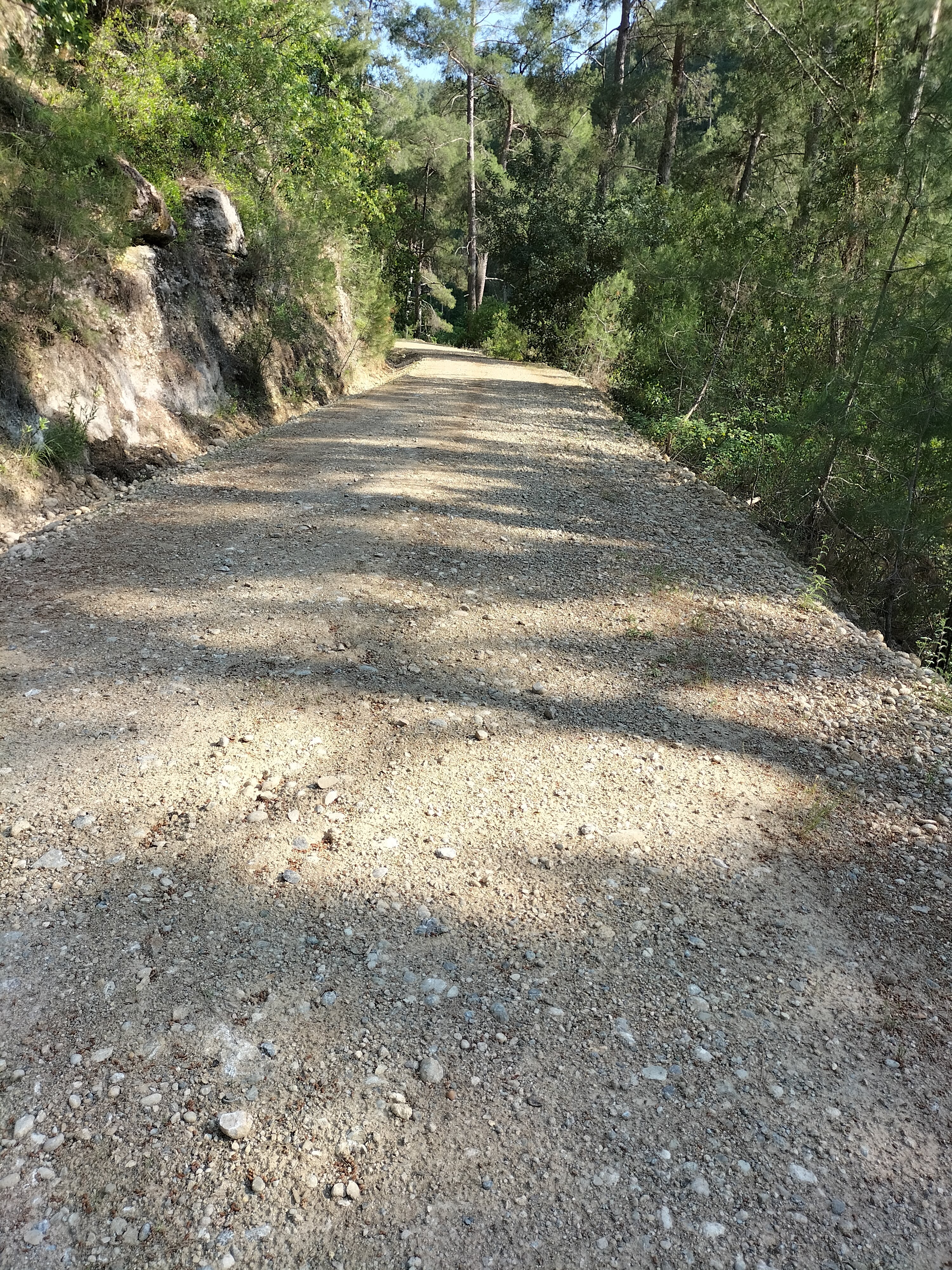 IMG20220520170422.jpg