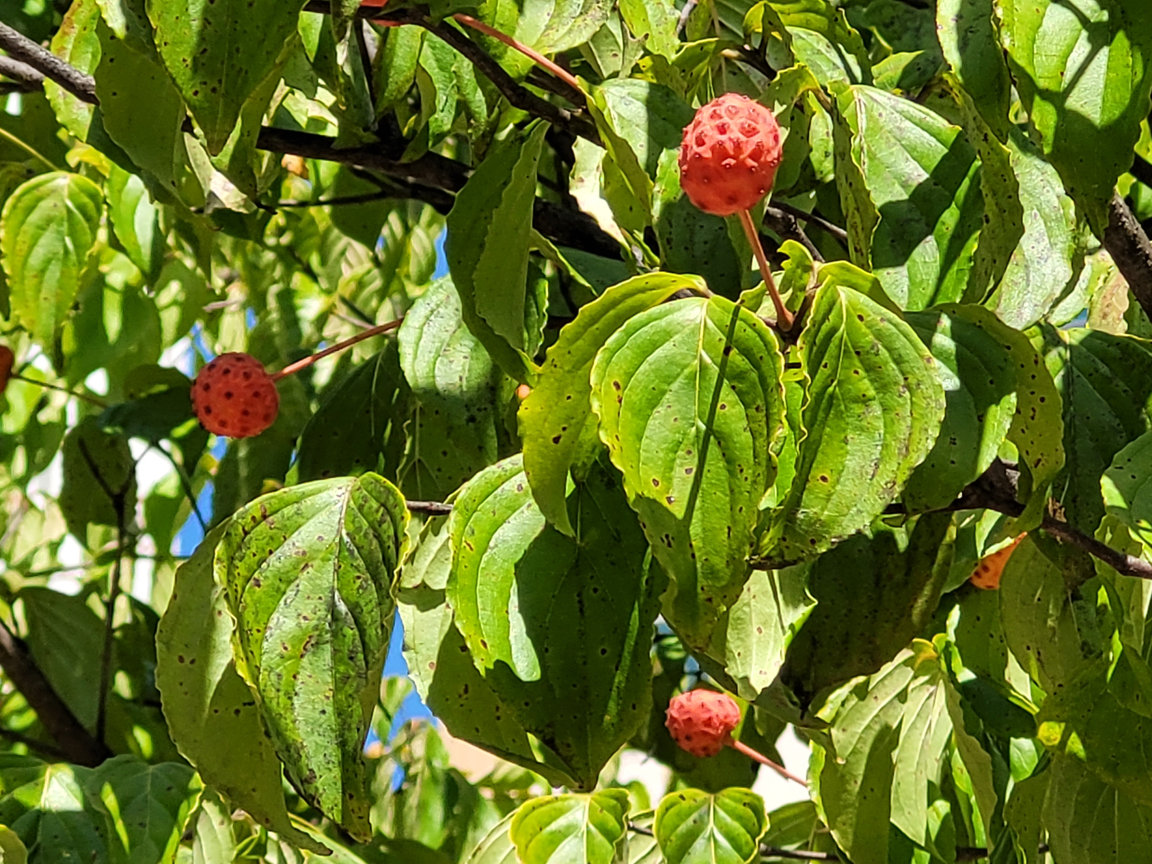20210914_111953.jpg