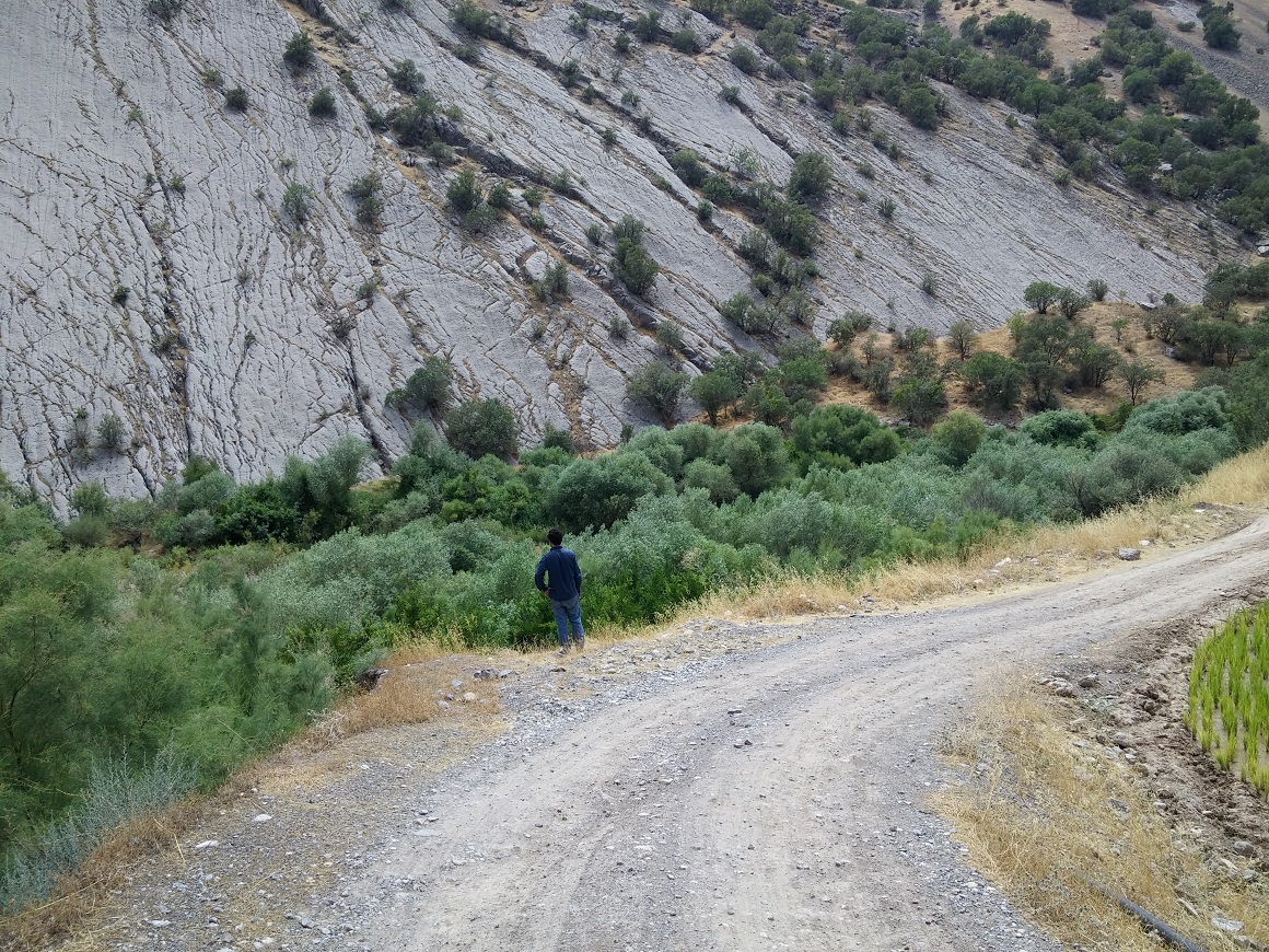 20150724_150117.jpg