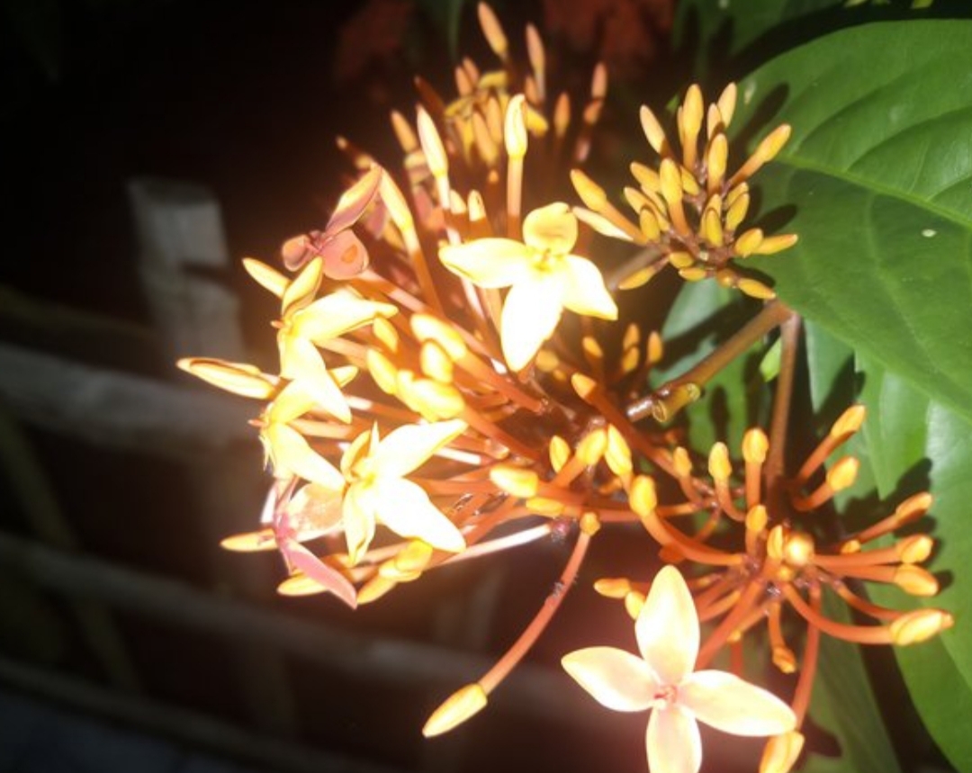 20191230_110016.jpg