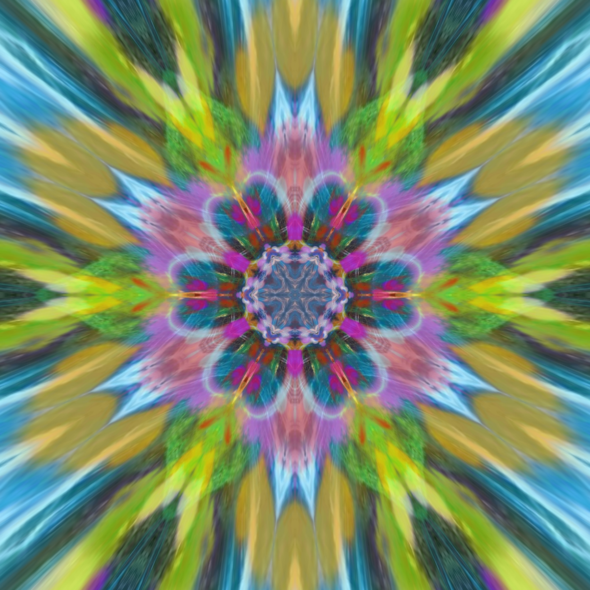 image3A156_mirror88.jpg