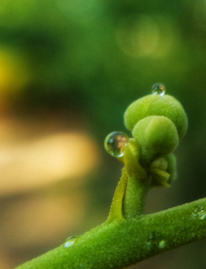 WhatsApp Image 2020-03-18 at 18.00.35 (3).jpeg