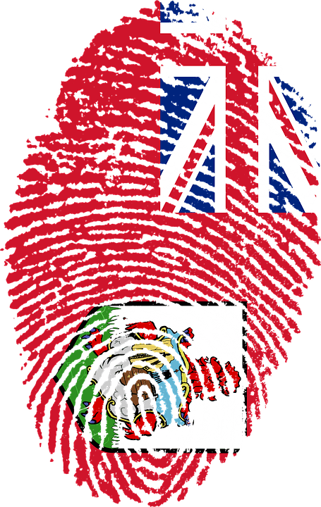 6.png