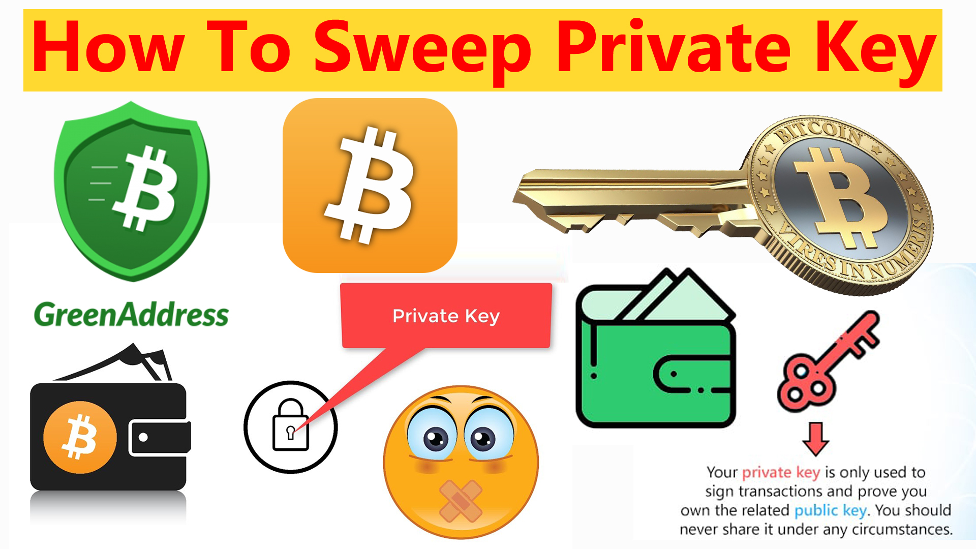 Bitcoin Private Key Import | How Bitcoin Private Import | Bitcoin Wallet