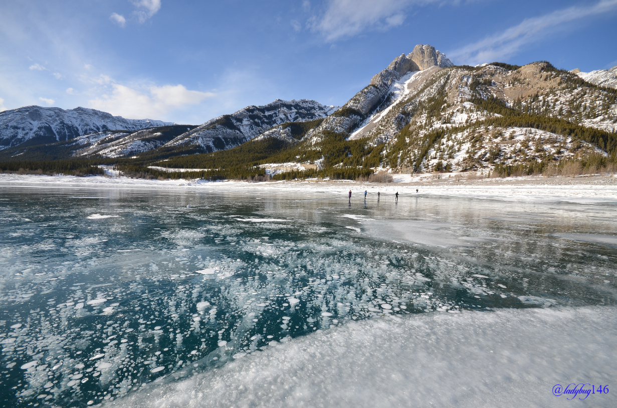 abraham lake.jpg