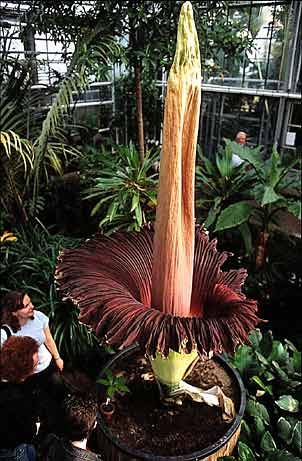 69748c1adac3961853de372b7b2c5c3a.jpg