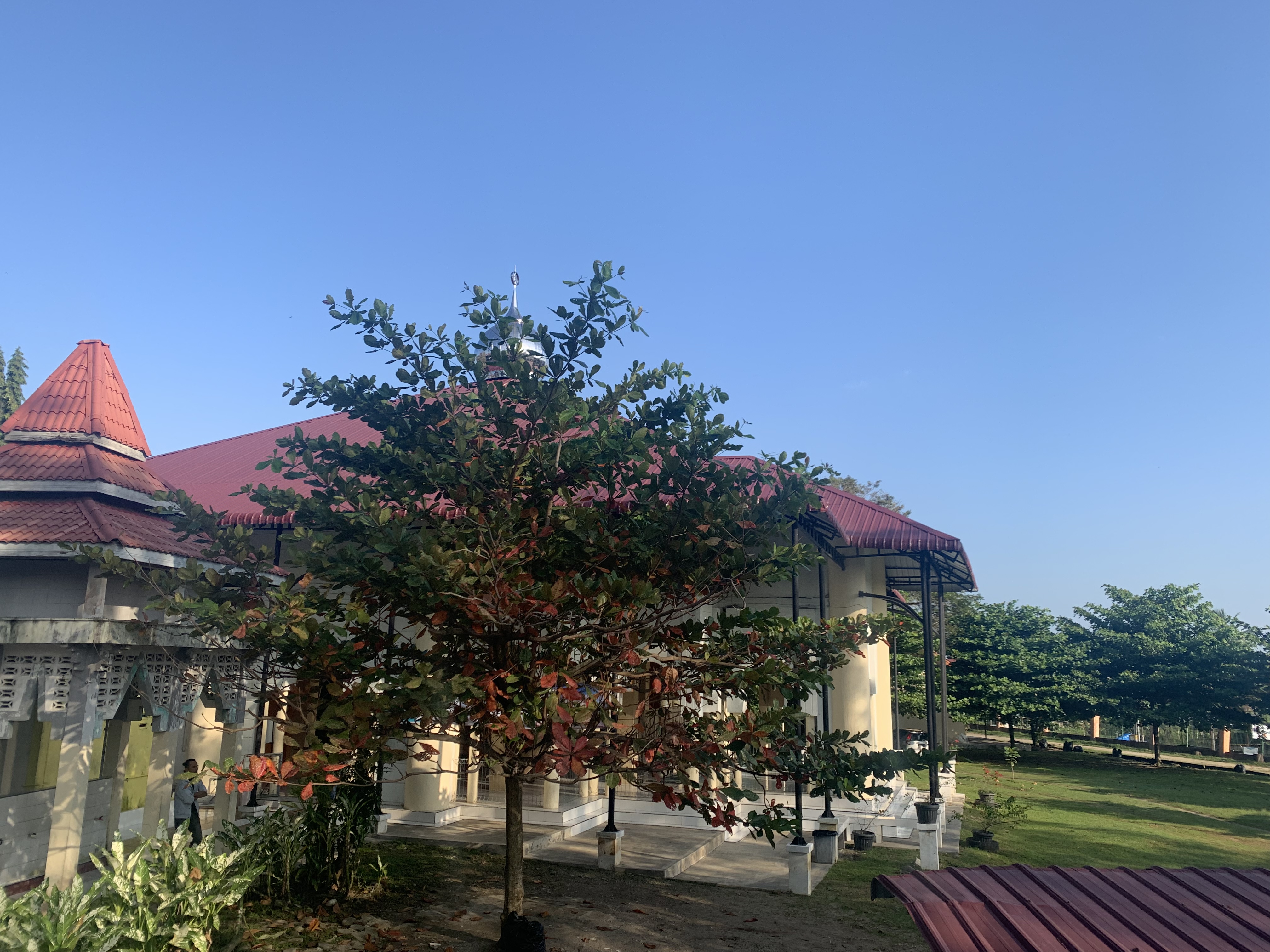 D31BF628-CA35-4099-BF96-0B99F113071F.jpeg