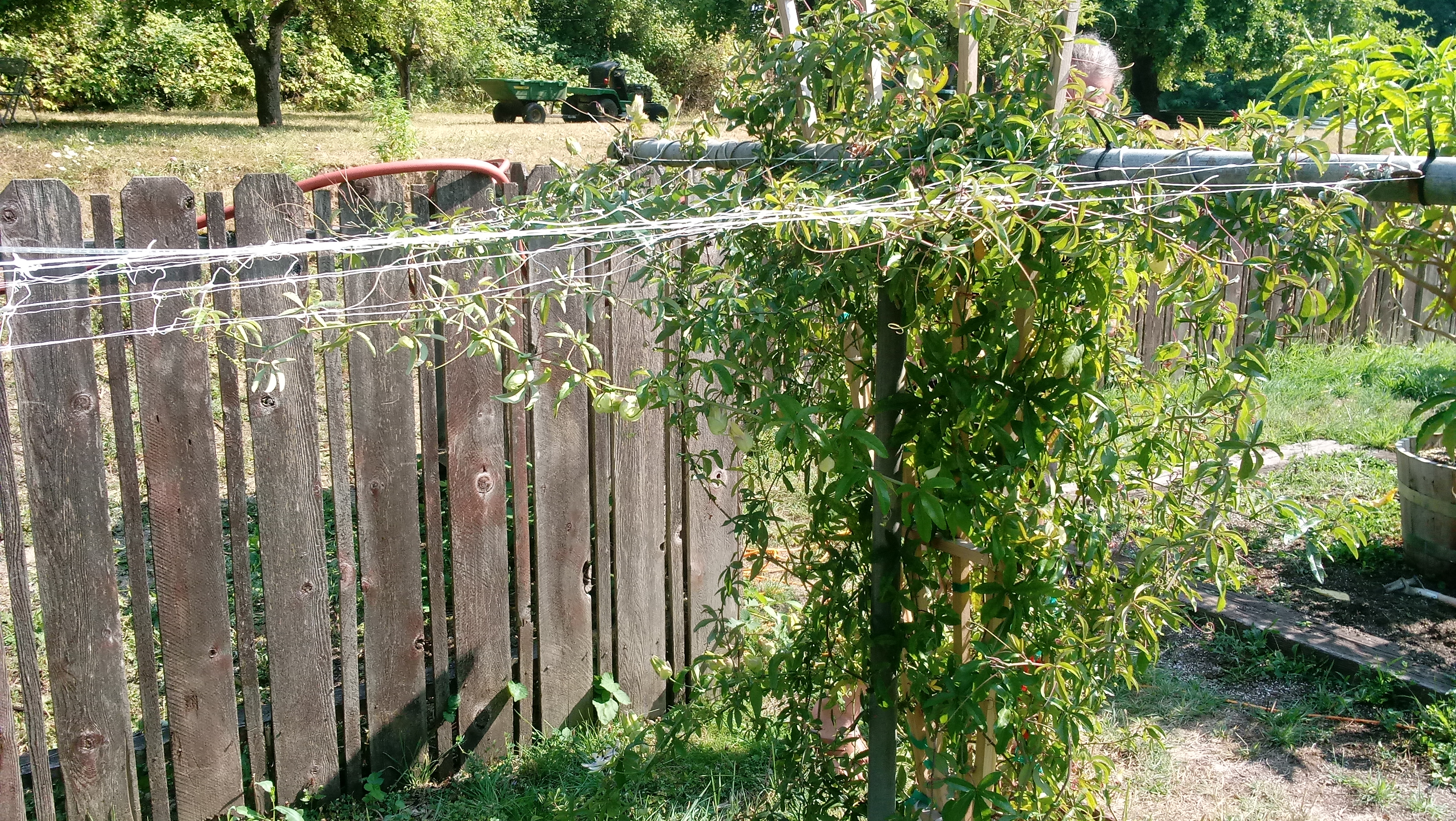 20180819_153450.jpg