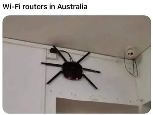v778.png