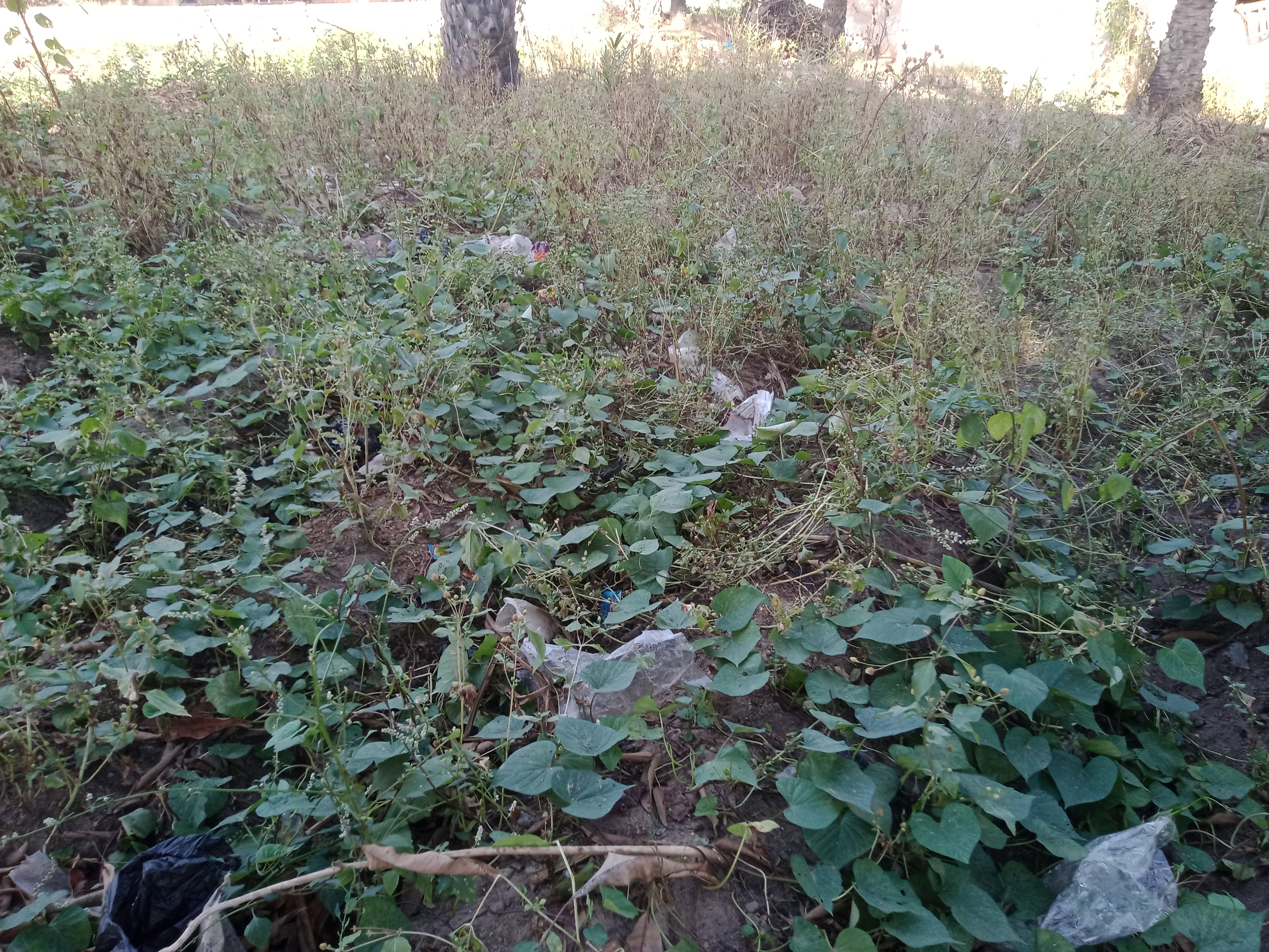 IMG20231130154637.jpg