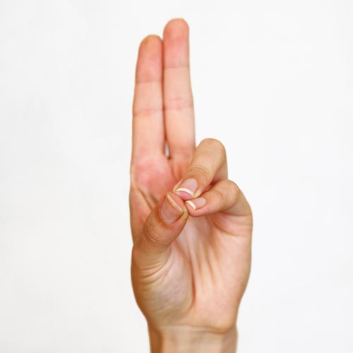 prana-mudra.jpg
