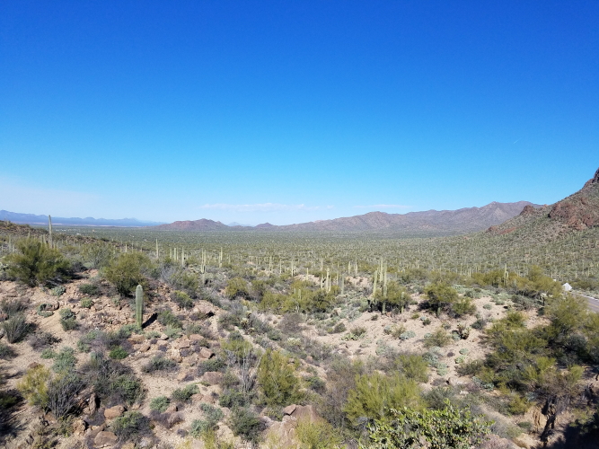 20190306_093754_4.jpg