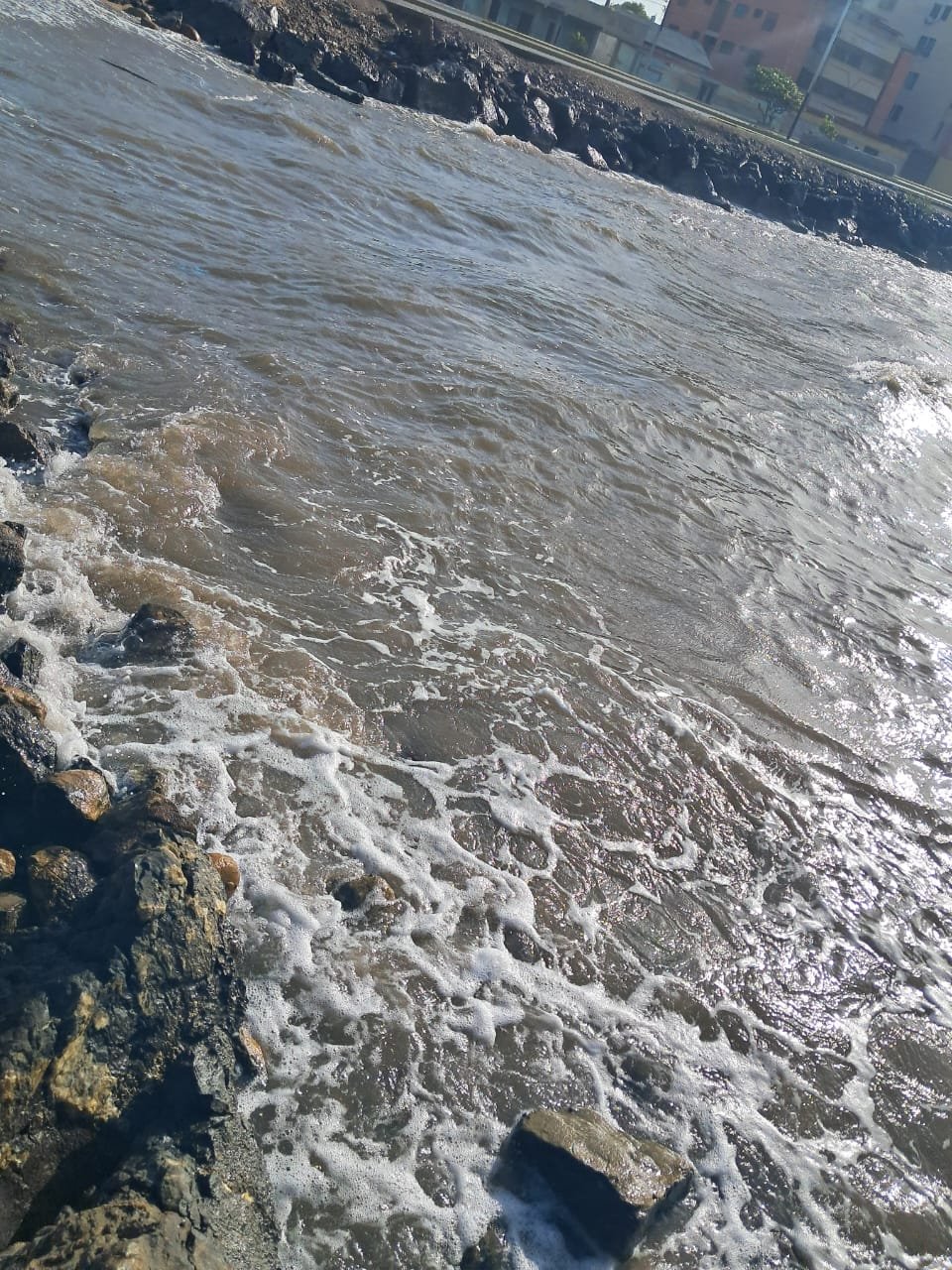 17842320501198957787081531186066.jpg
