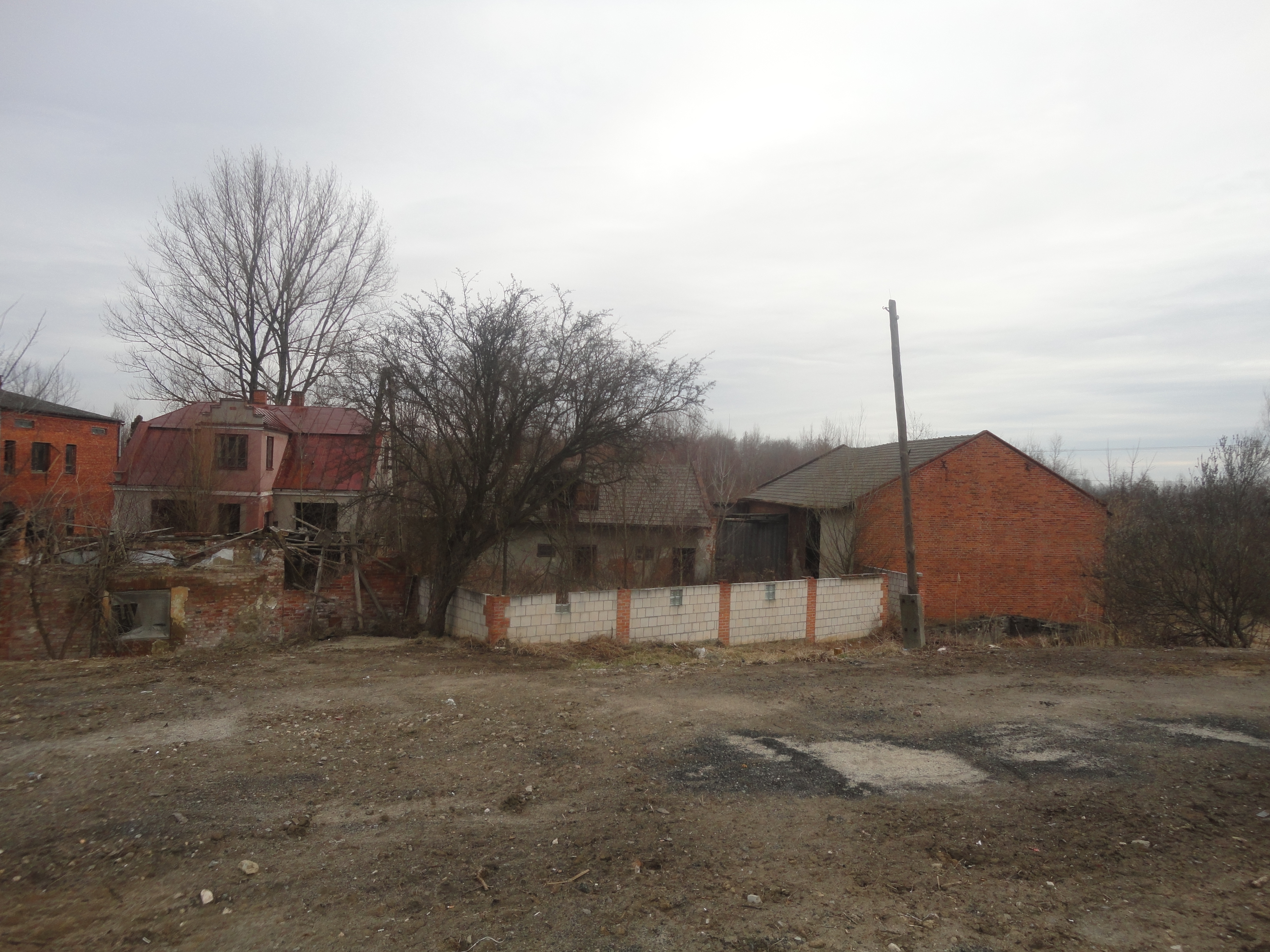 DSC03586.JPG