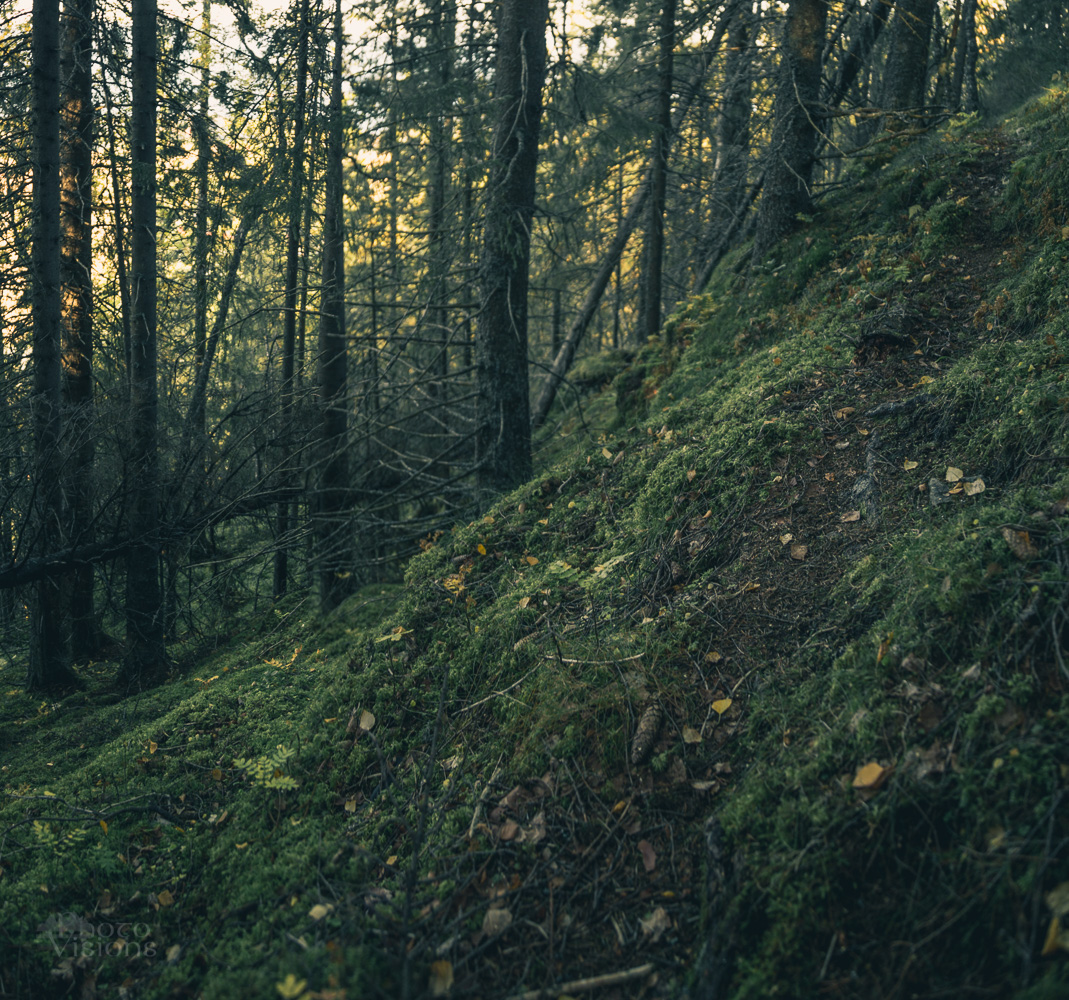 _MG_0379-Pano-2.jpg