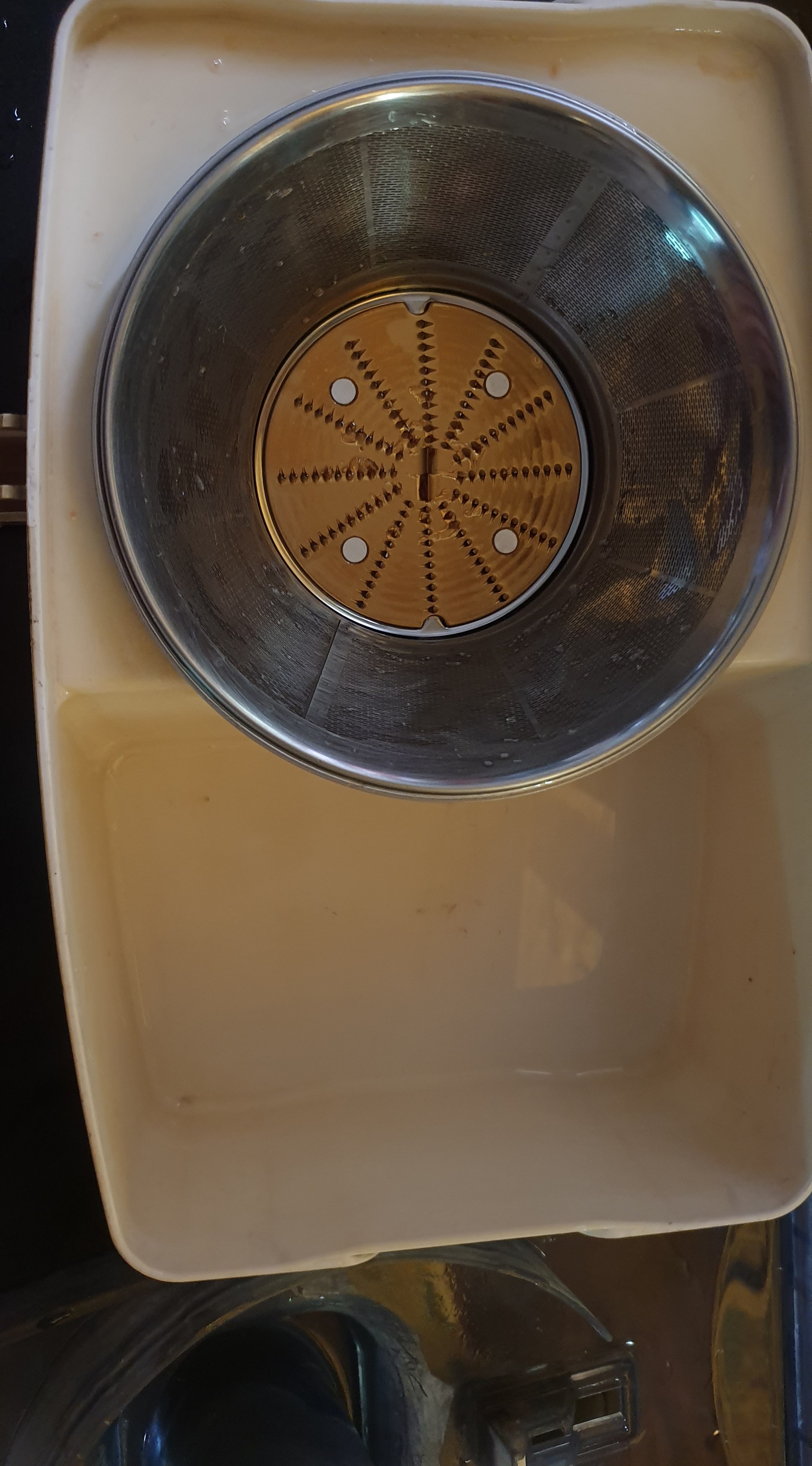 20260328_123358.jpg