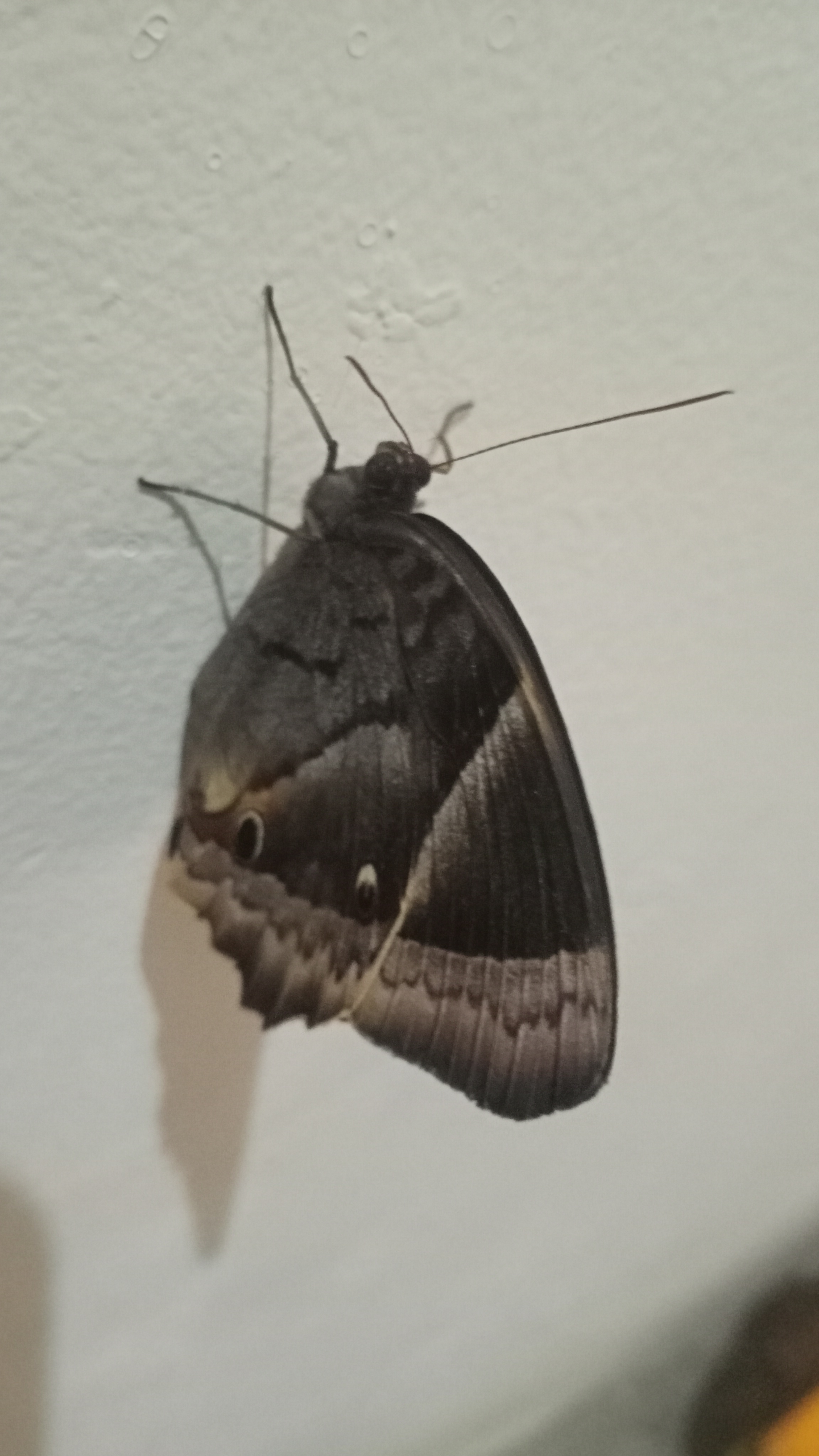 IMG20250531181955.jpg