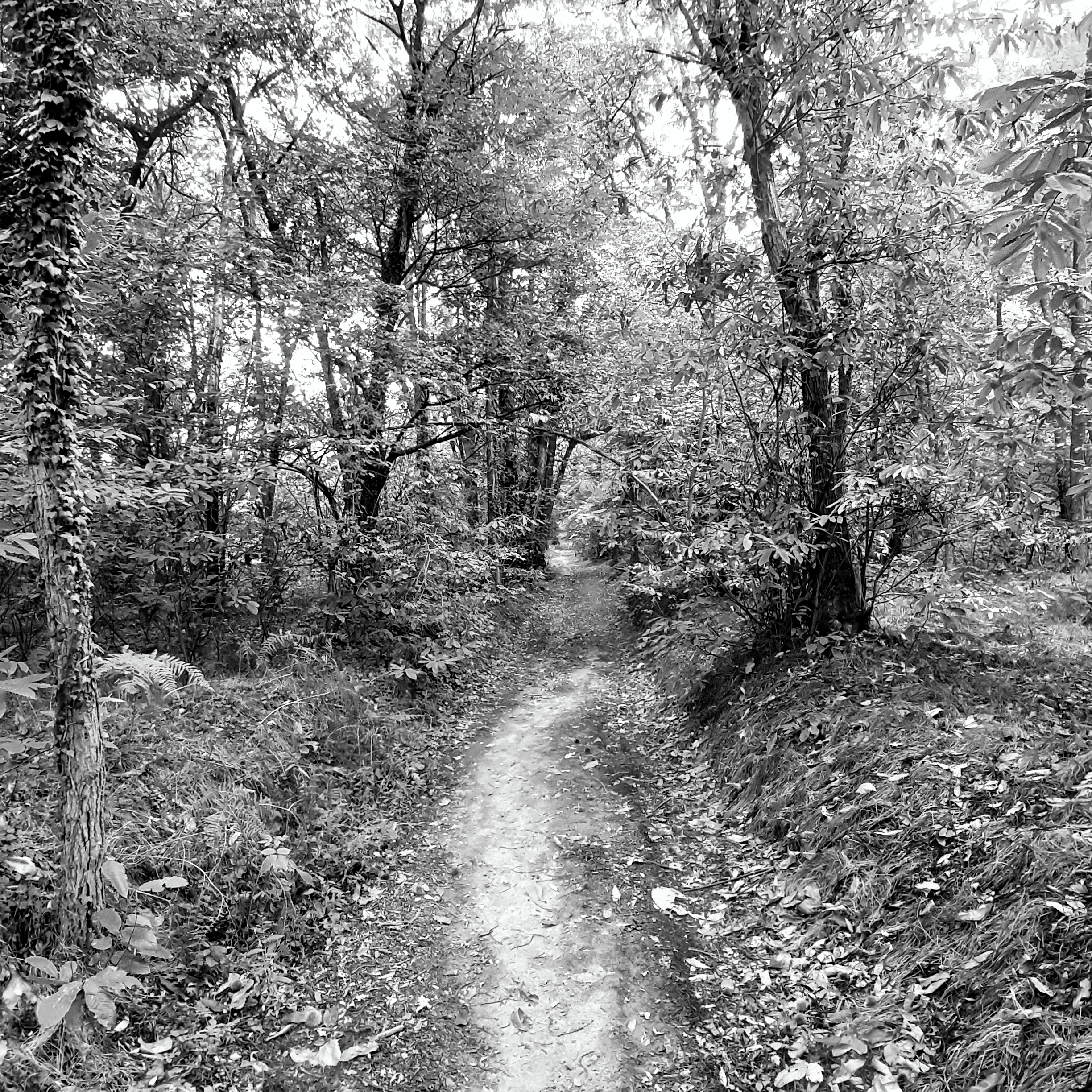20190923_105836.jpg