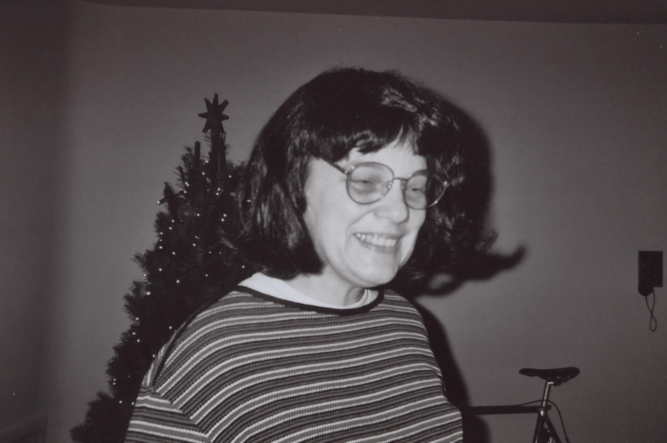 2004 Christmas-09.png