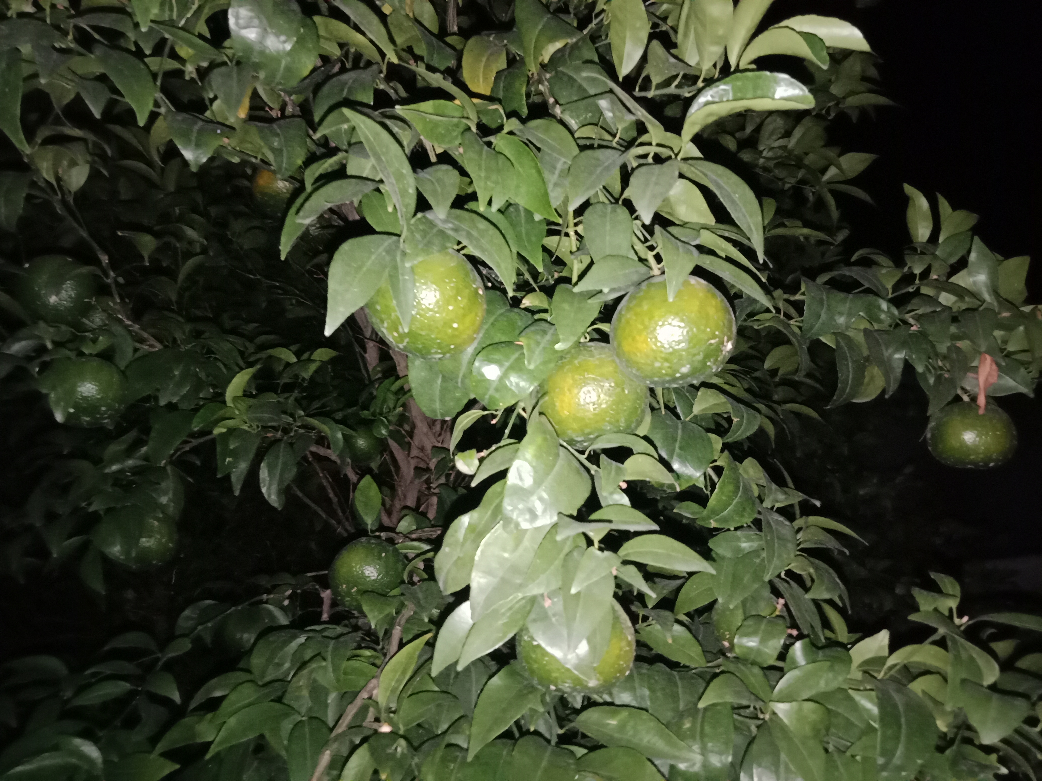 IMG20210910211254.jpg