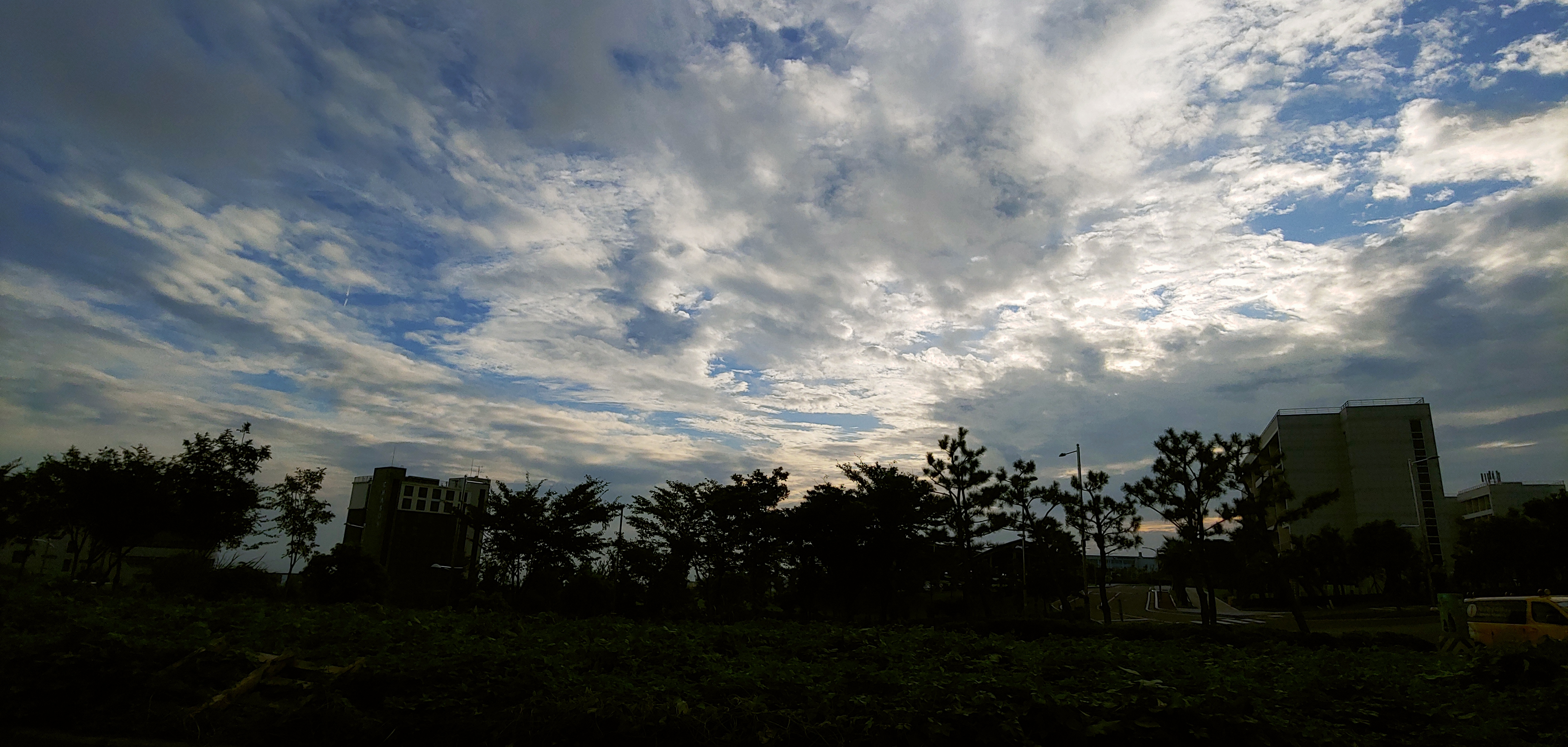 20190910_175058.jpg